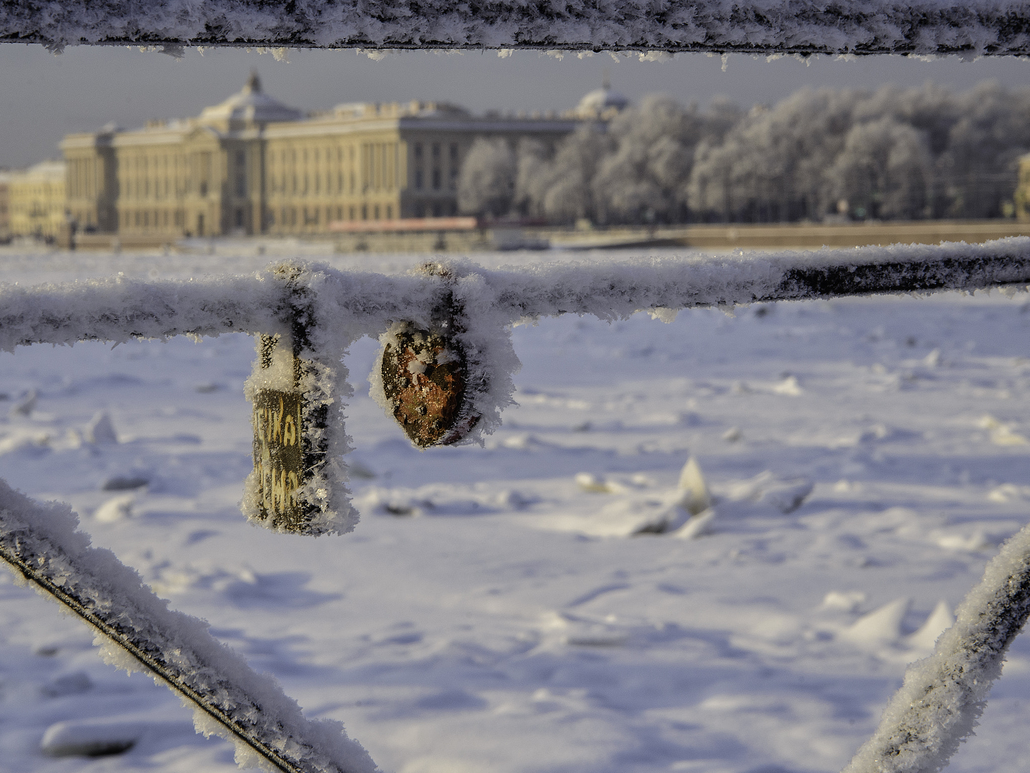 Nikon D610 + Sigma 28-105mm F2.8-4 Aspherical sample photo. Locks. love under snow. photography