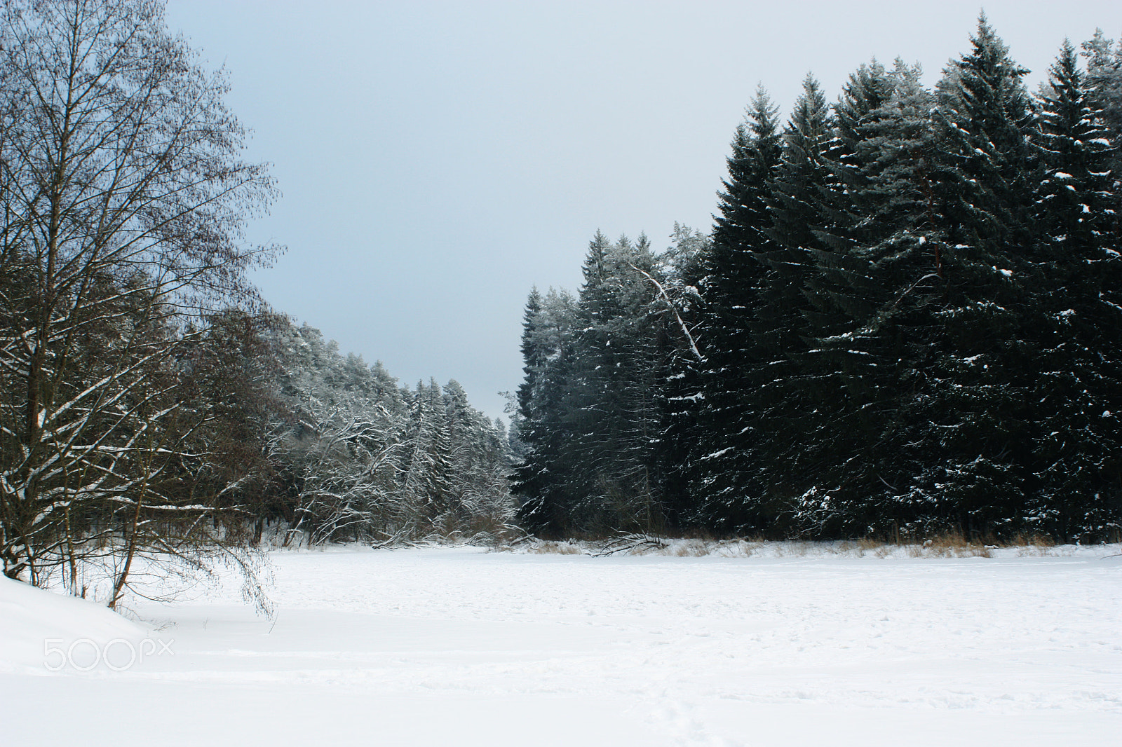 Canon EF 28-80mm f/3.5-5.6 sample photo. Winter lake photography