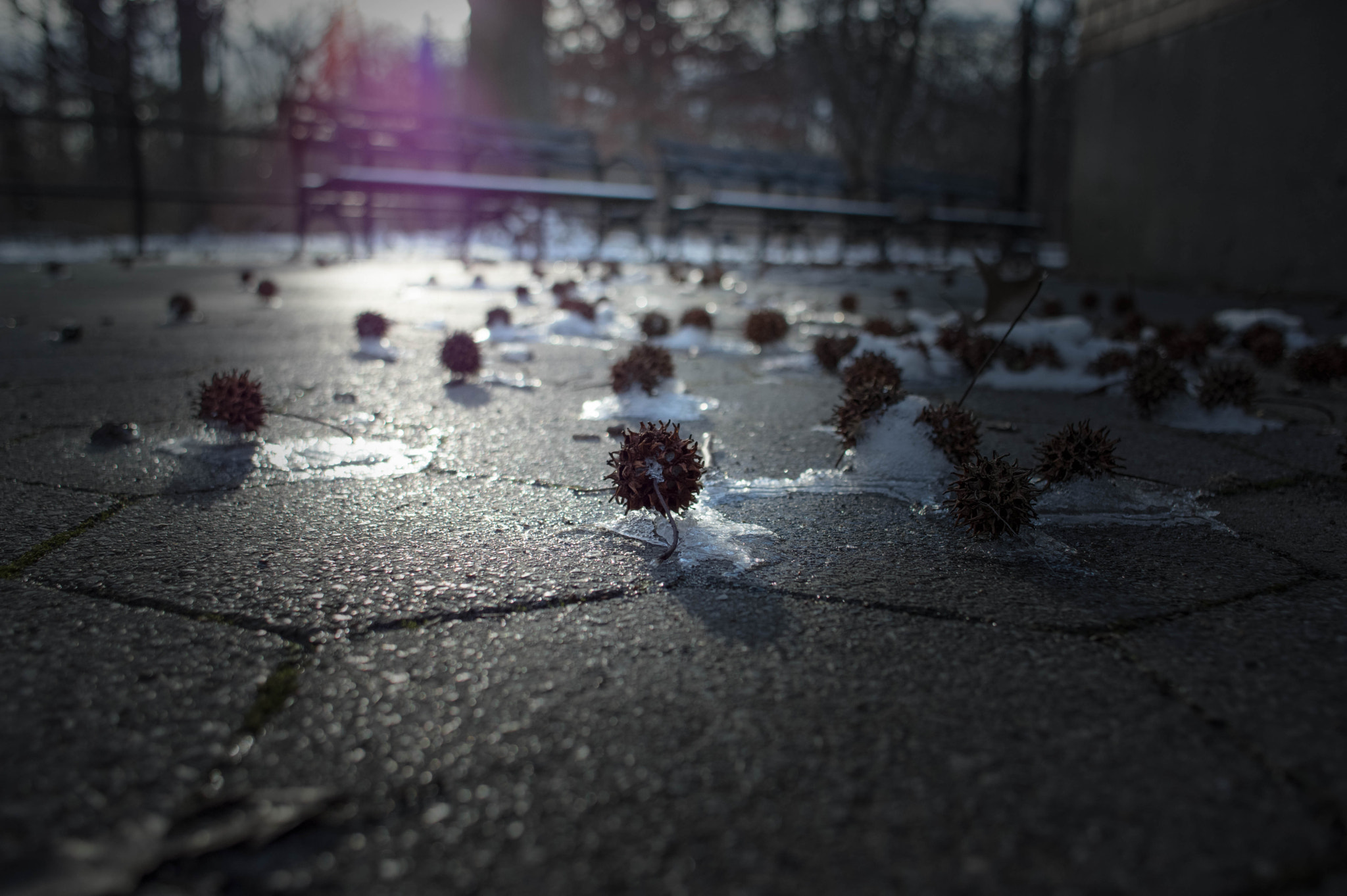 HD Pentax DA 21mm F3.2 AL Limited sample photo. First snow photography