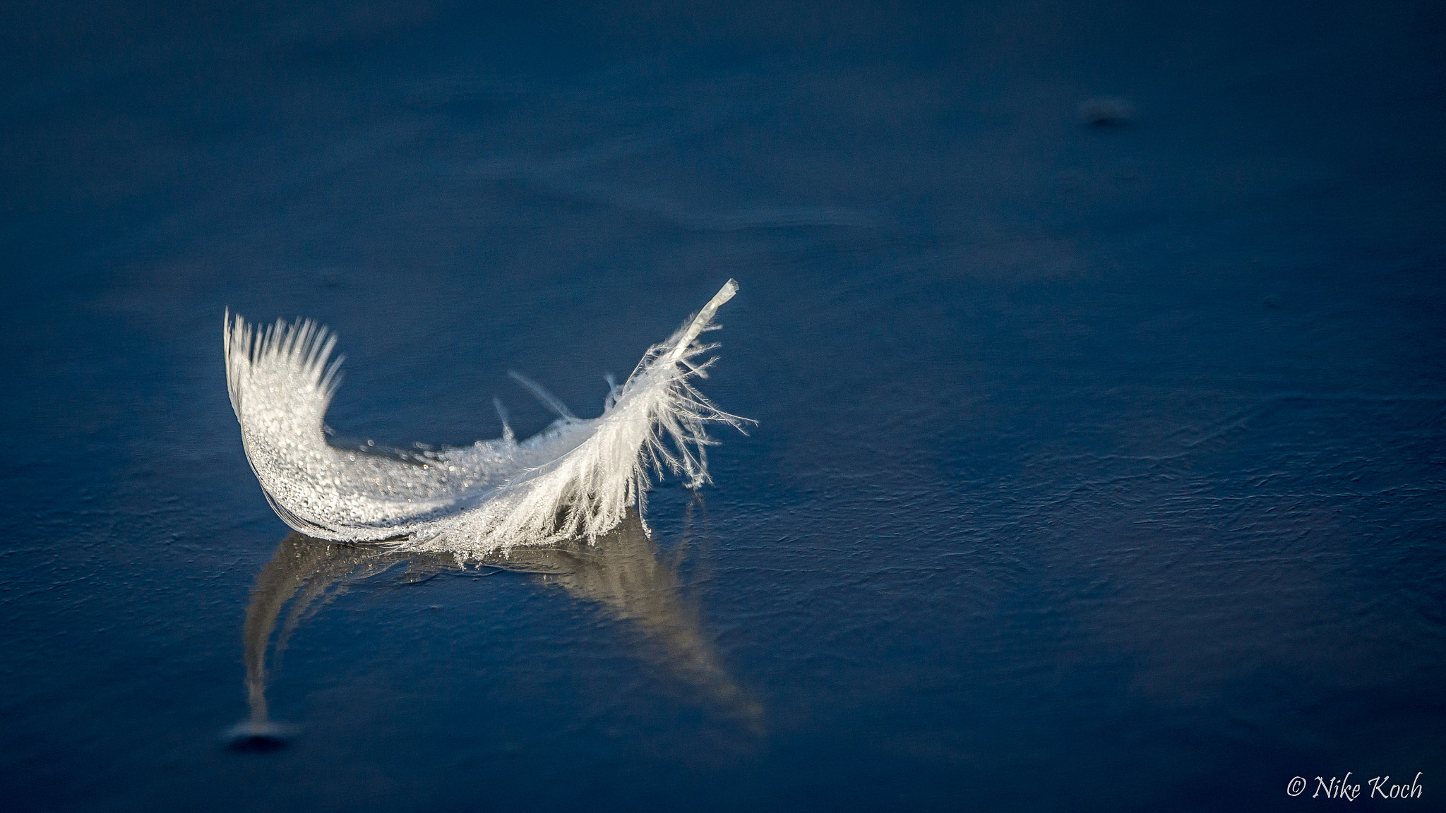 Sony 70-400mm F4-5.6 G SSM II sample photo. Frosty feather photography