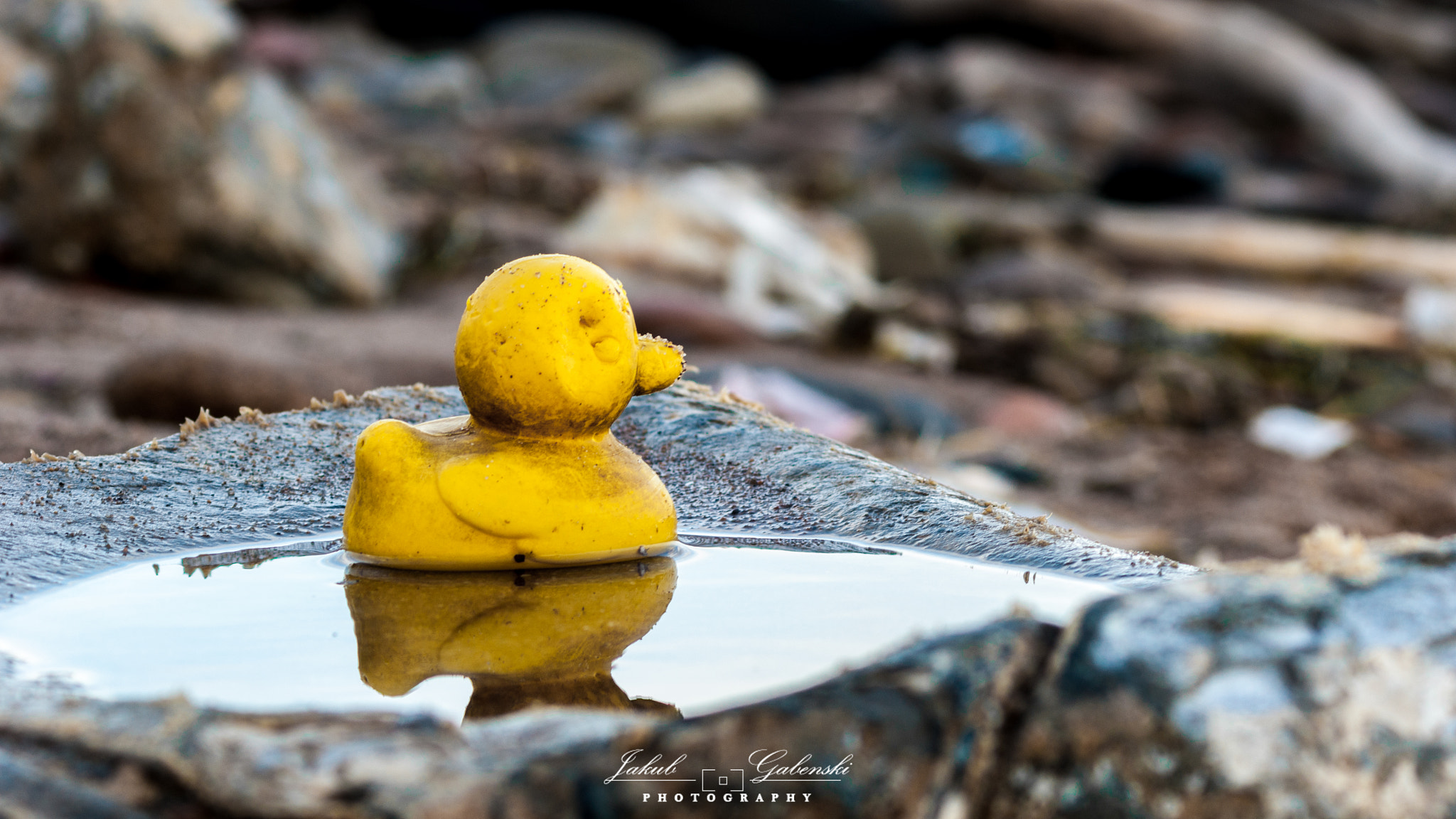 Sony Alpha DSLR-A390 + Minolta AF 70-210mm F4 Macro sample photo. Yellow duck photography