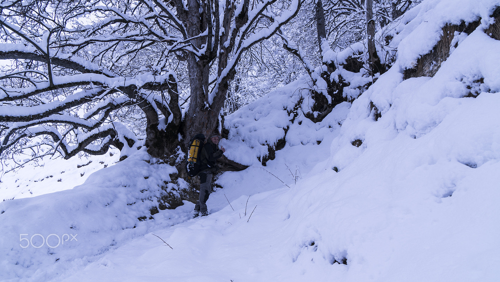 Sony a7R II + Sony Vario-Tessar T* E 16-70mm F4 ZA OSS sample photo. Winter touring photography