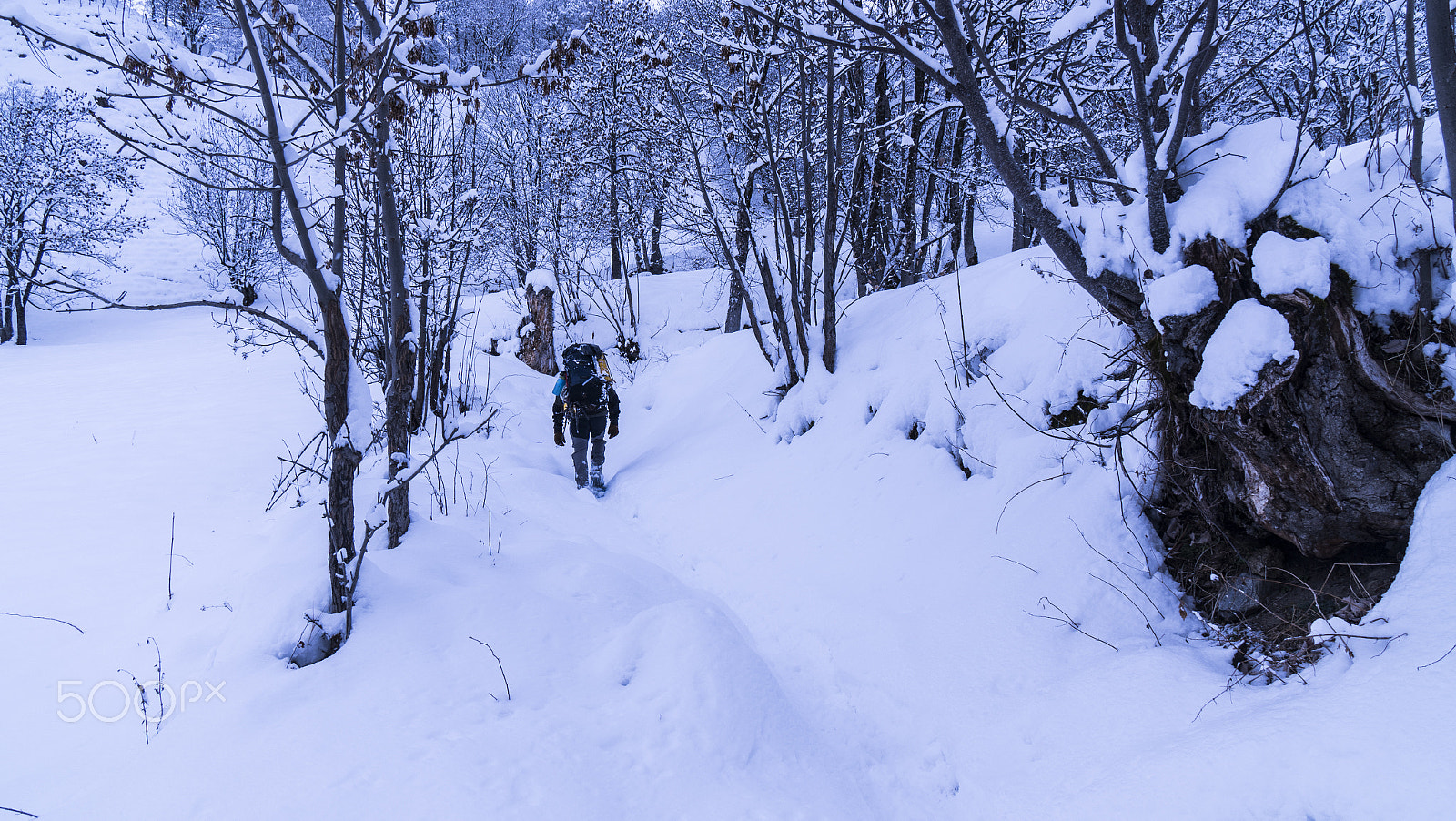 Sony a7R II + Sony Vario-Tessar T* E 16-70mm F4 ZA OSS sample photo. Winter touring photography