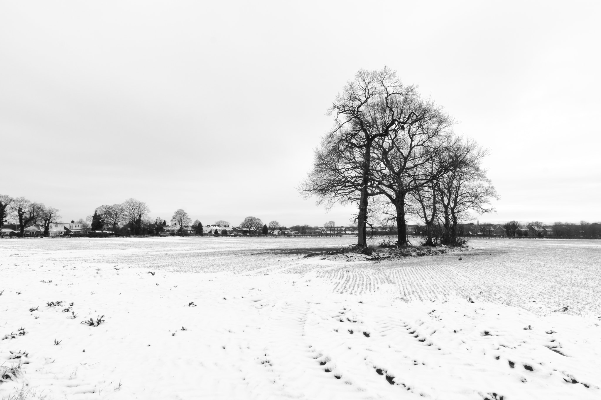 Sony SLT-A65 (SLT-A65V) sample photo. Winter in lymm photography