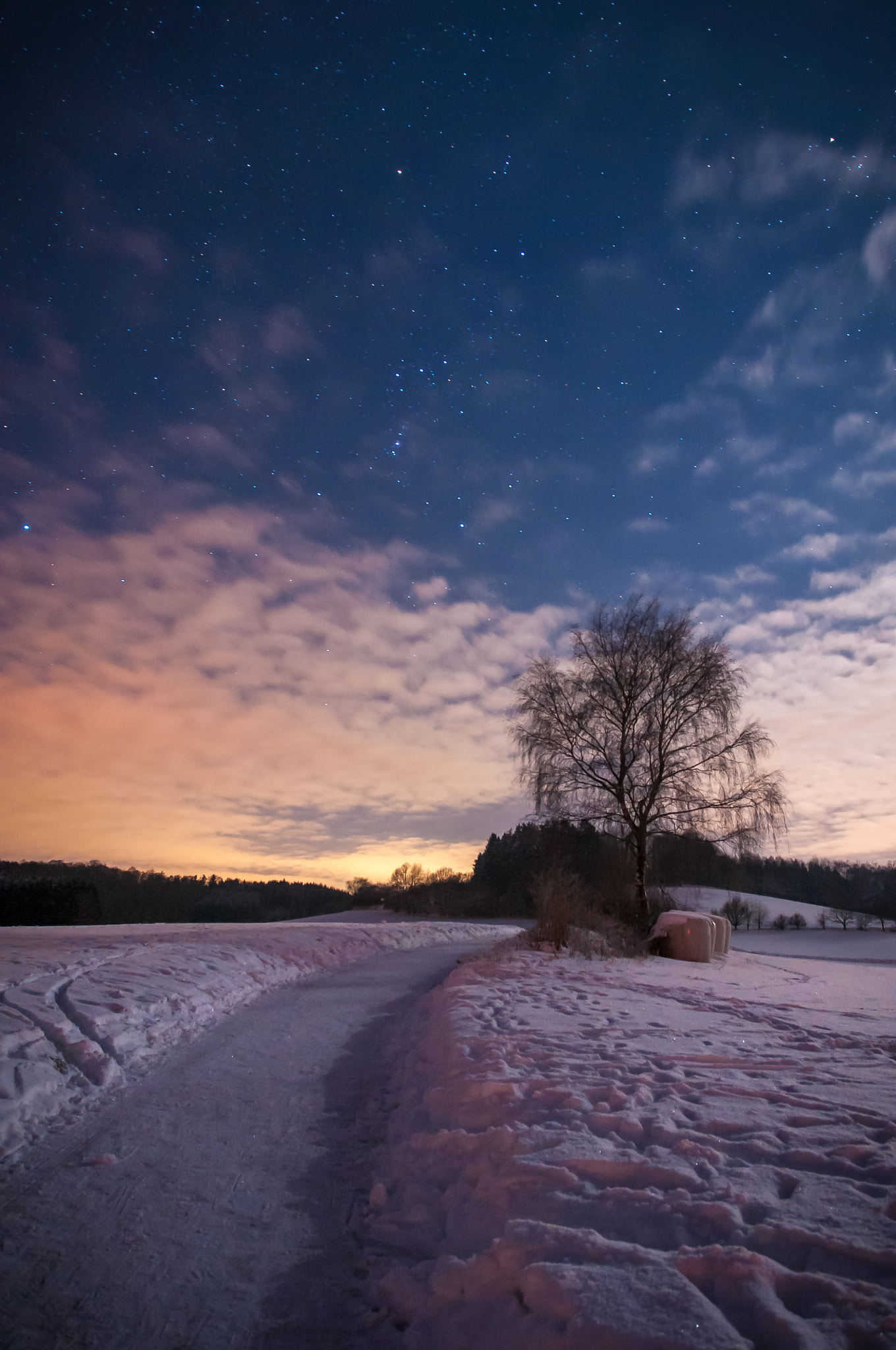 Sigma 17-70mm F2.8-4 DC Macro OS HSM | C sample photo. Snowy stars photography