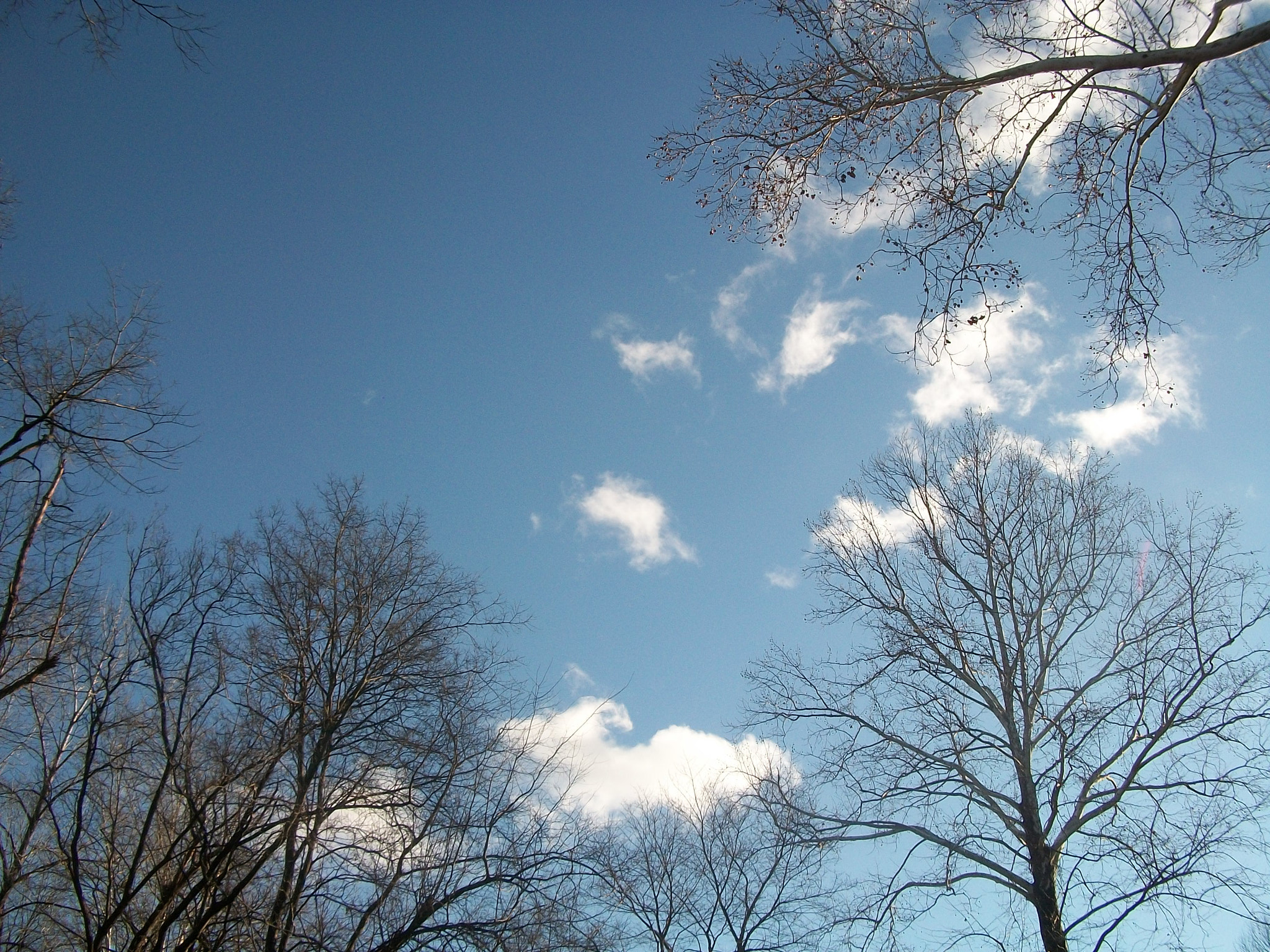 Kodak EASYSHARE C180 DIGITAL CAMERA sample photo. Things too wonderful photography