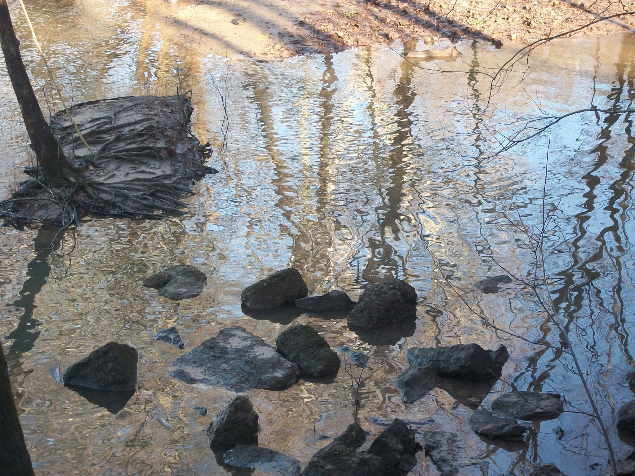 Kodak EASYSHARE C180 DIGITAL CAMERA sample photo. Rocks roots and water photography
