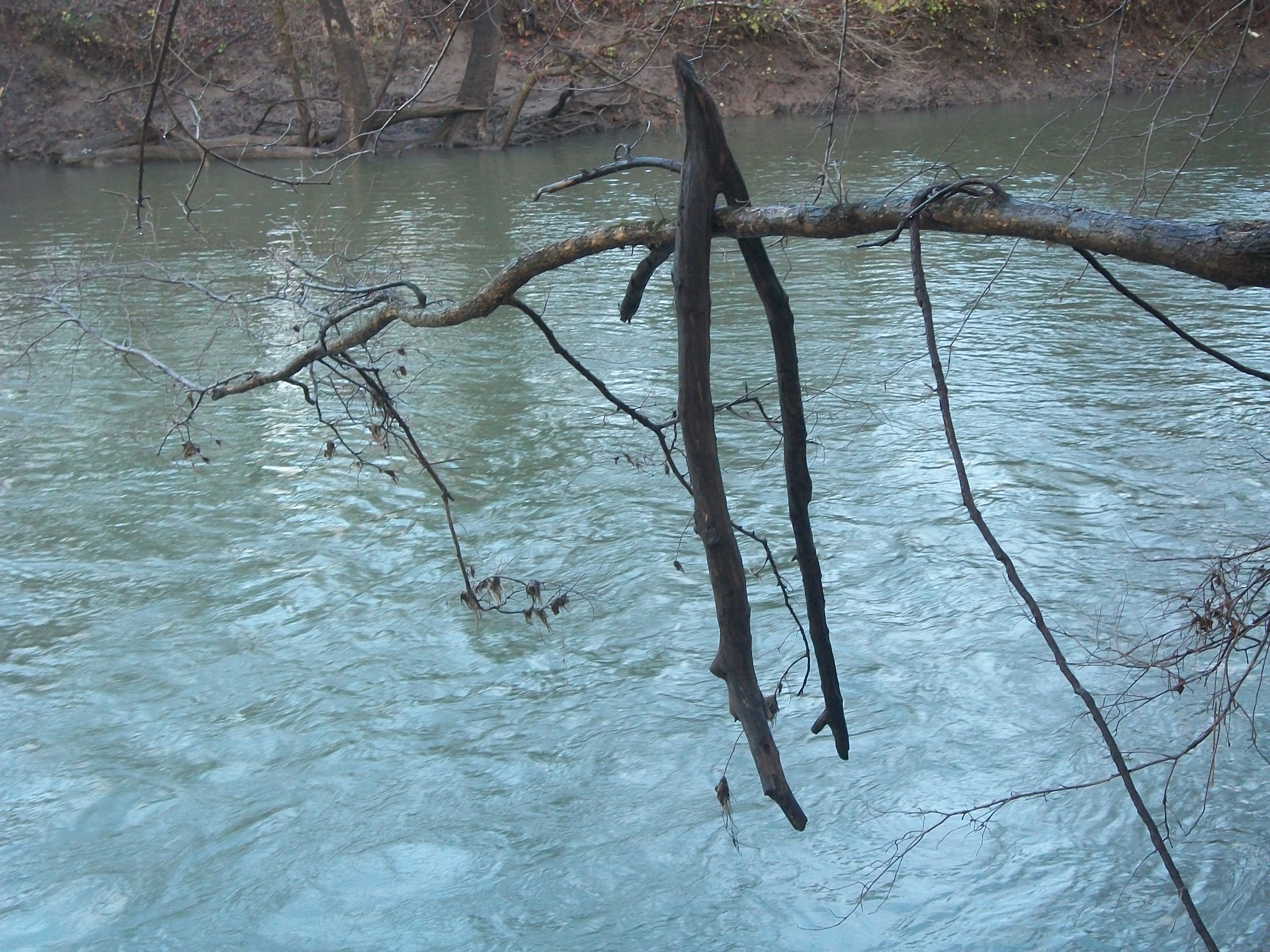 Kodak EASYSHARE C180 DIGITAL CAMERA sample photo. The need for grafting photography