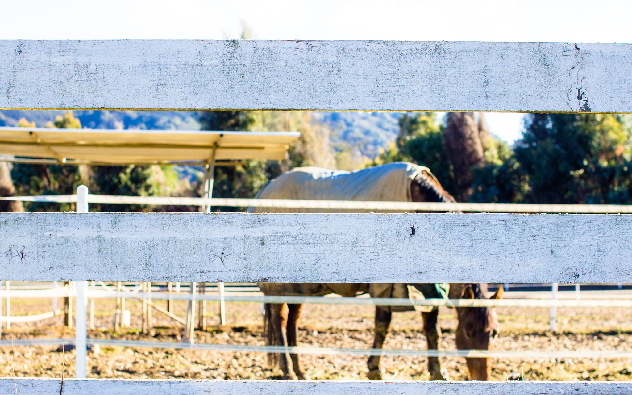 Sigma 50mm F1.4 EX DG HSM sample photo. Vas canyon, ca morning photography