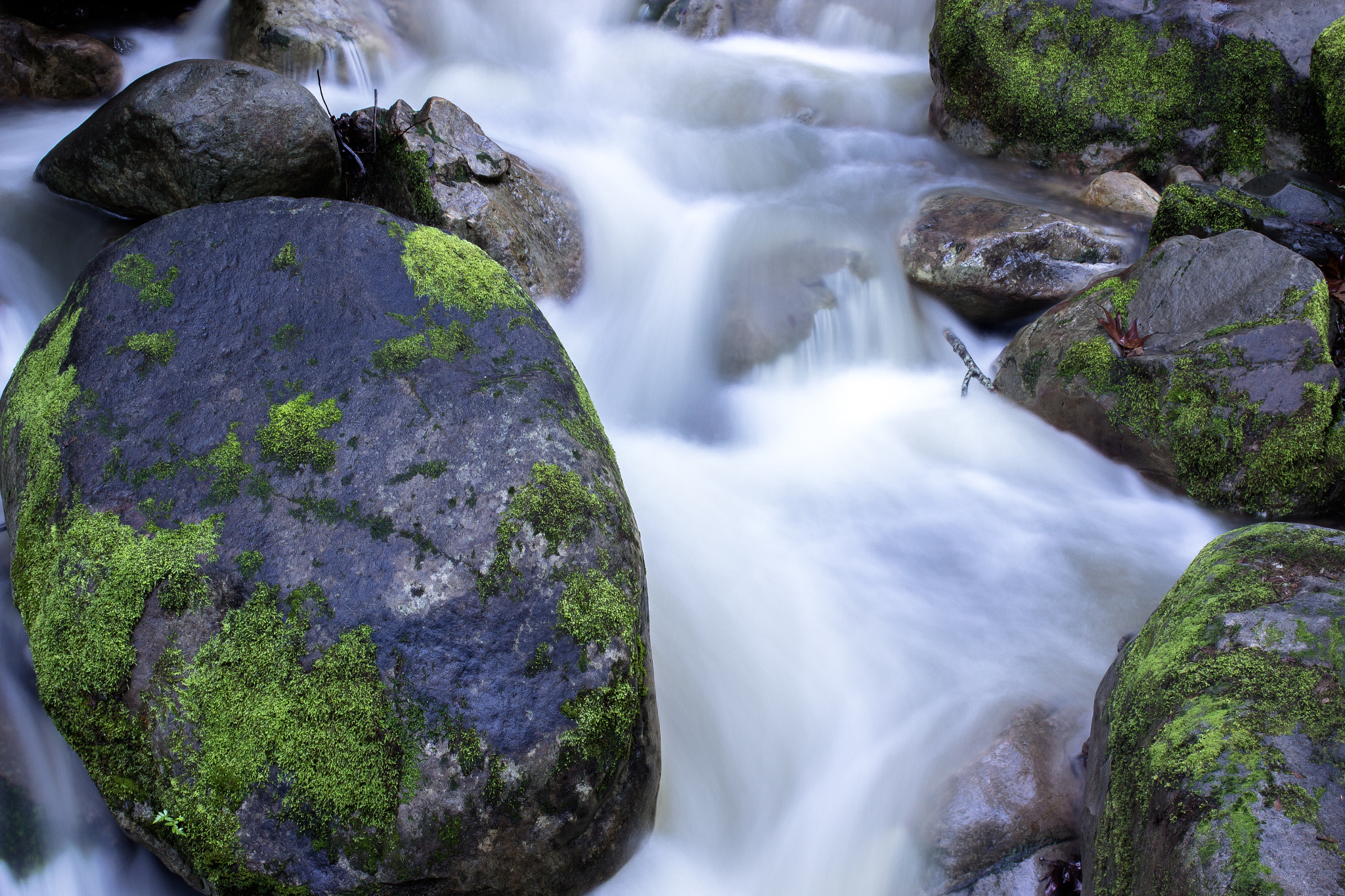 Sigma 50mm F1.4 EX DG HSM sample photo. Vas canyon, ca morning photography