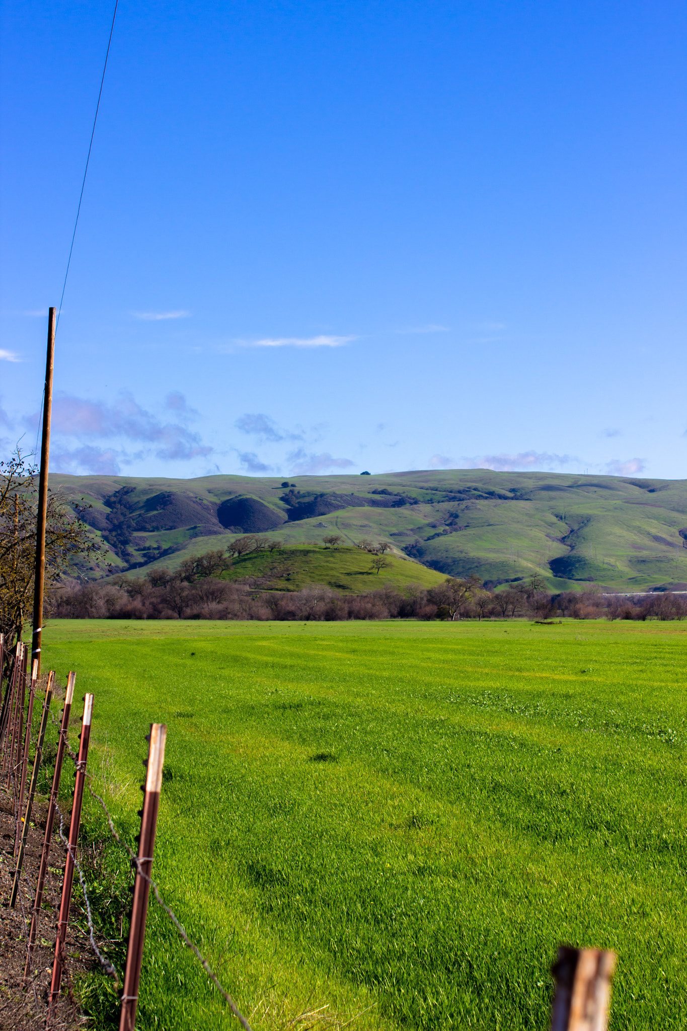 Sigma 50mm F1.4 EX DG HSM sample photo. Vas canyon, ca morning photography