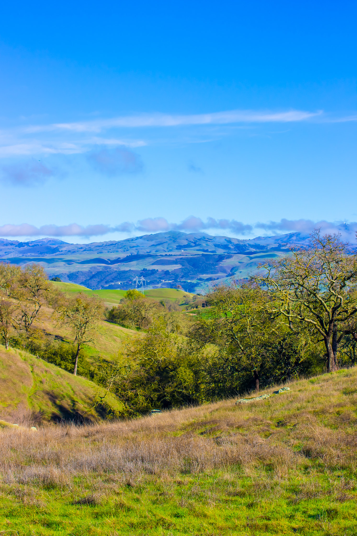 Sigma 50mm F1.4 EX DG HSM sample photo. Vas canyon, ca morning photography