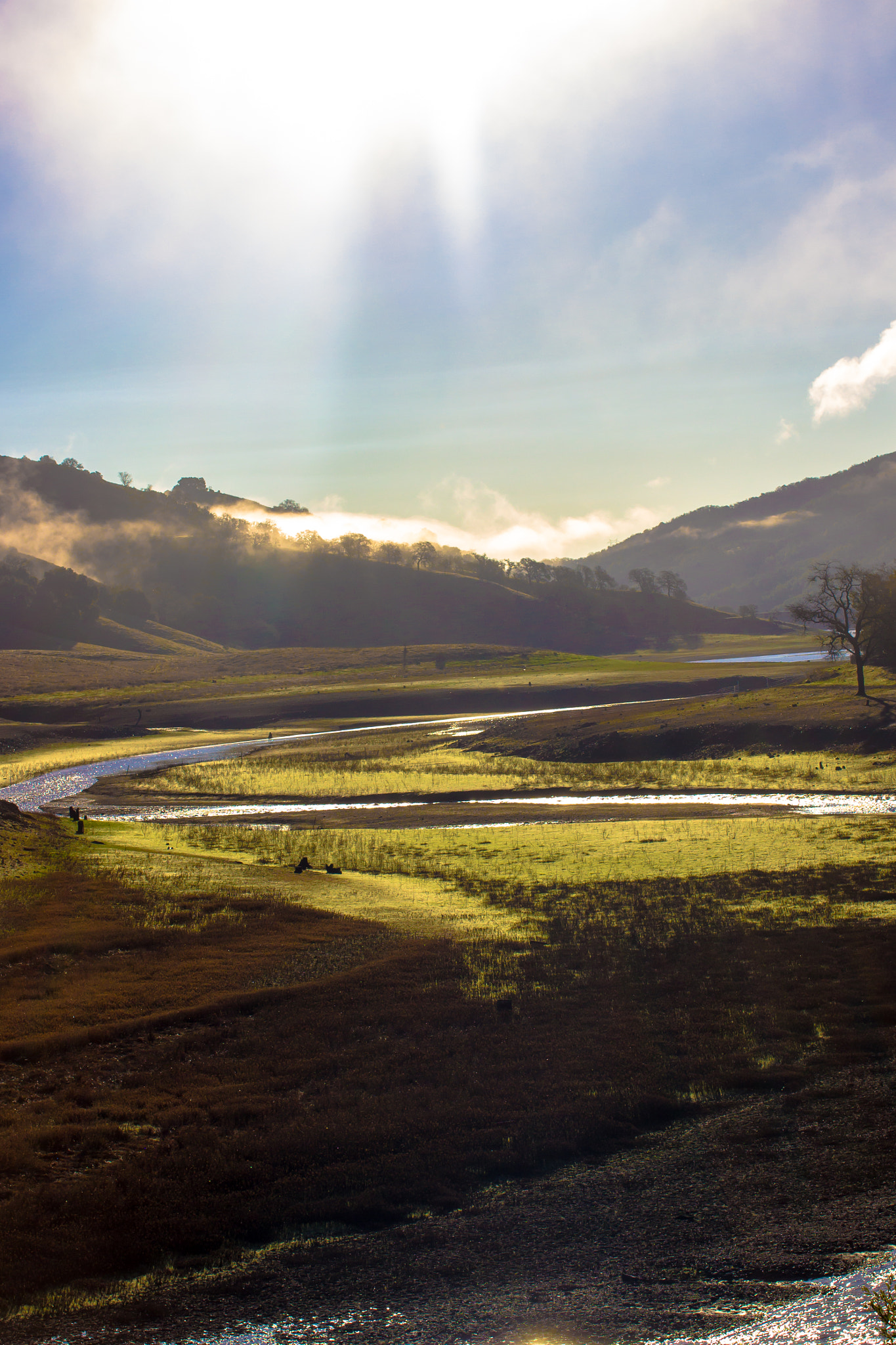 Sigma 50mm F1.4 EX DG HSM sample photo. Vas canyon, ca morning photography