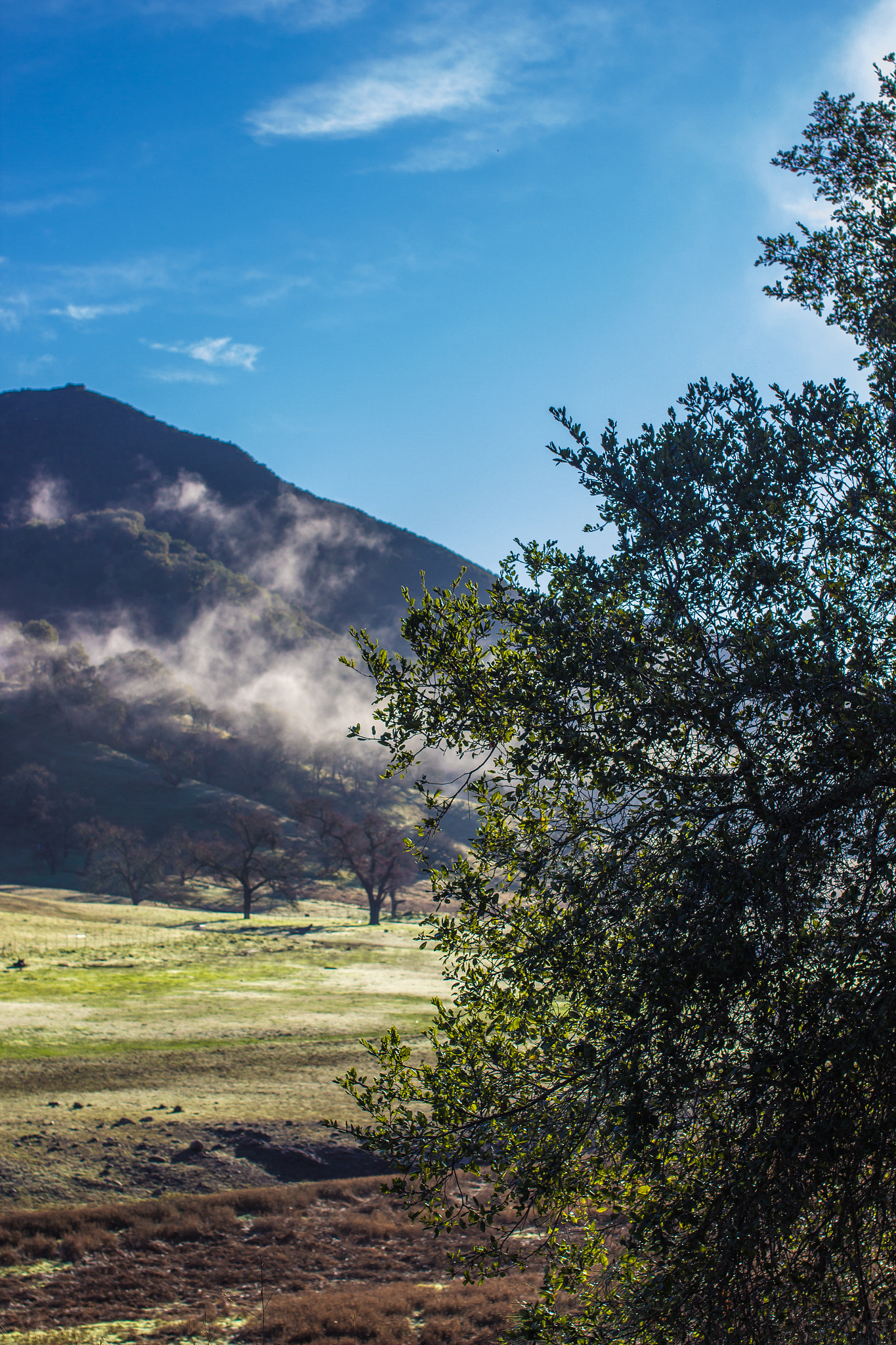 Sigma 50mm F1.4 EX DG HSM sample photo. Vas canyon, ca morning photography