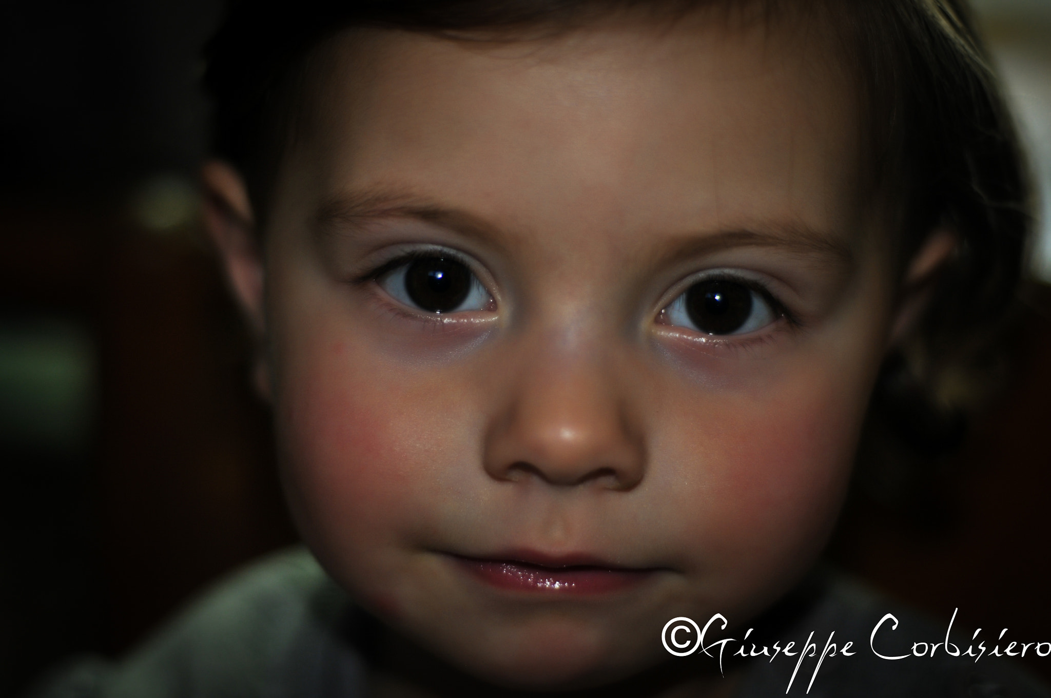 Nikon D300 + AF Nikkor 50mm f/1.8 sample photo. Look at me! photography