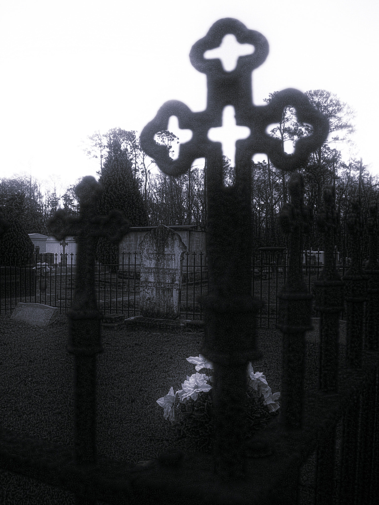 Nikon E7600 sample photo. Christ filtered photography