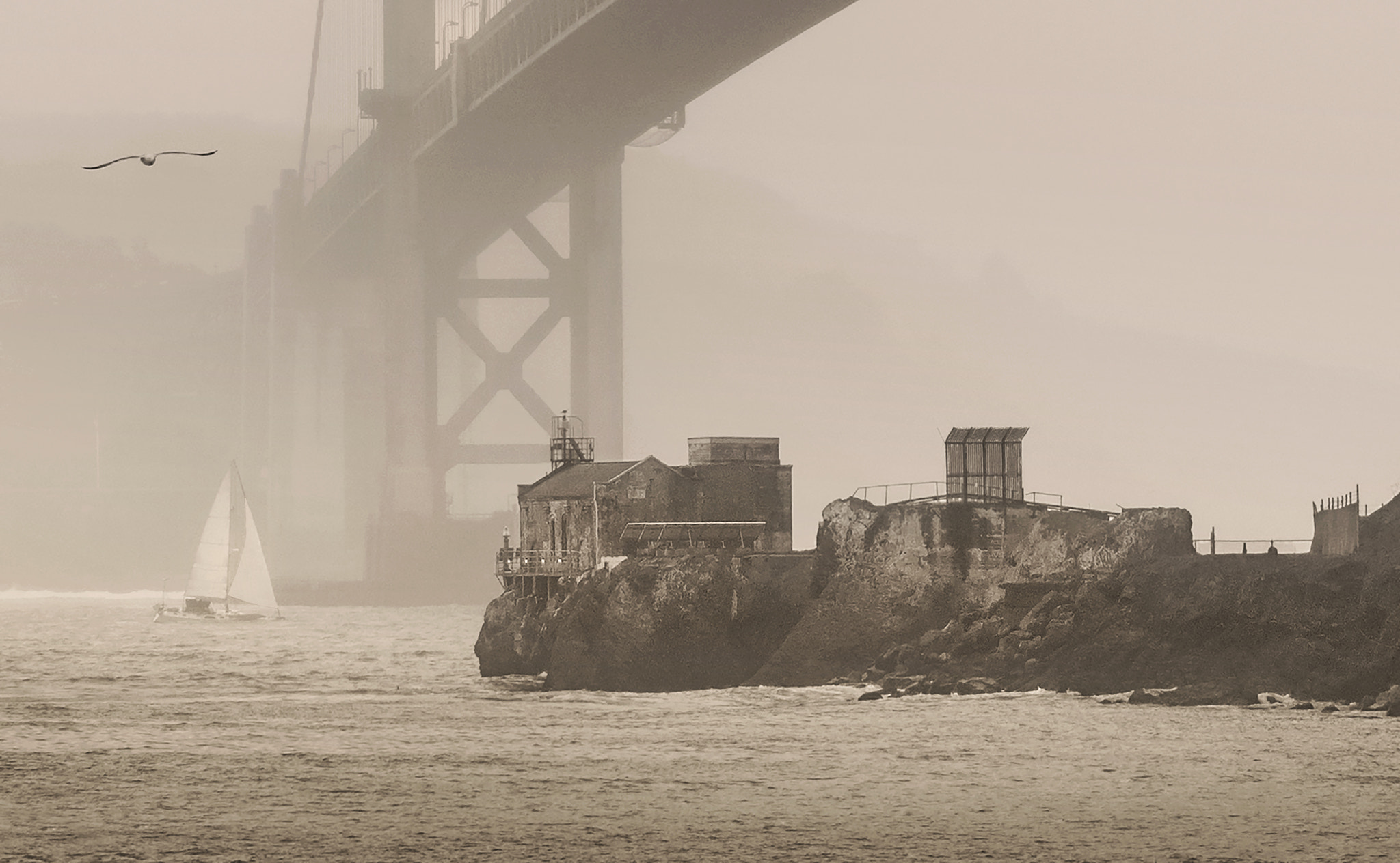 AF-S Zoom-Nikkor 80-200mm f/2.8D IF-ED sample photo. Lime point photography