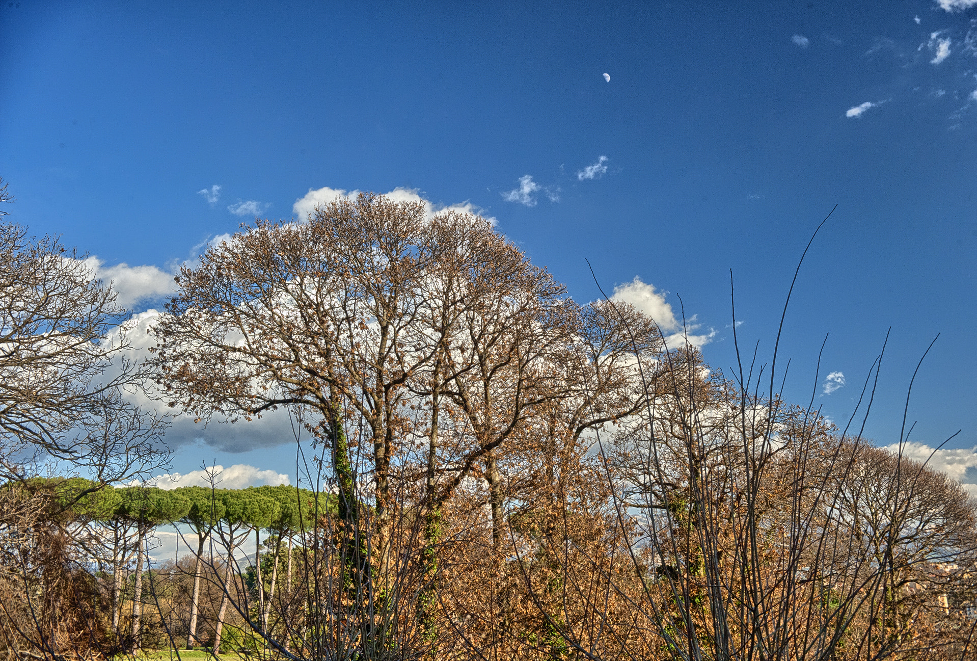 Nikon D3 sample photo. A moon among the clouds (hdr) photography