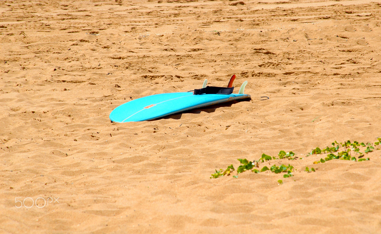 Nikon D70s sample photo. Finished surfing photography