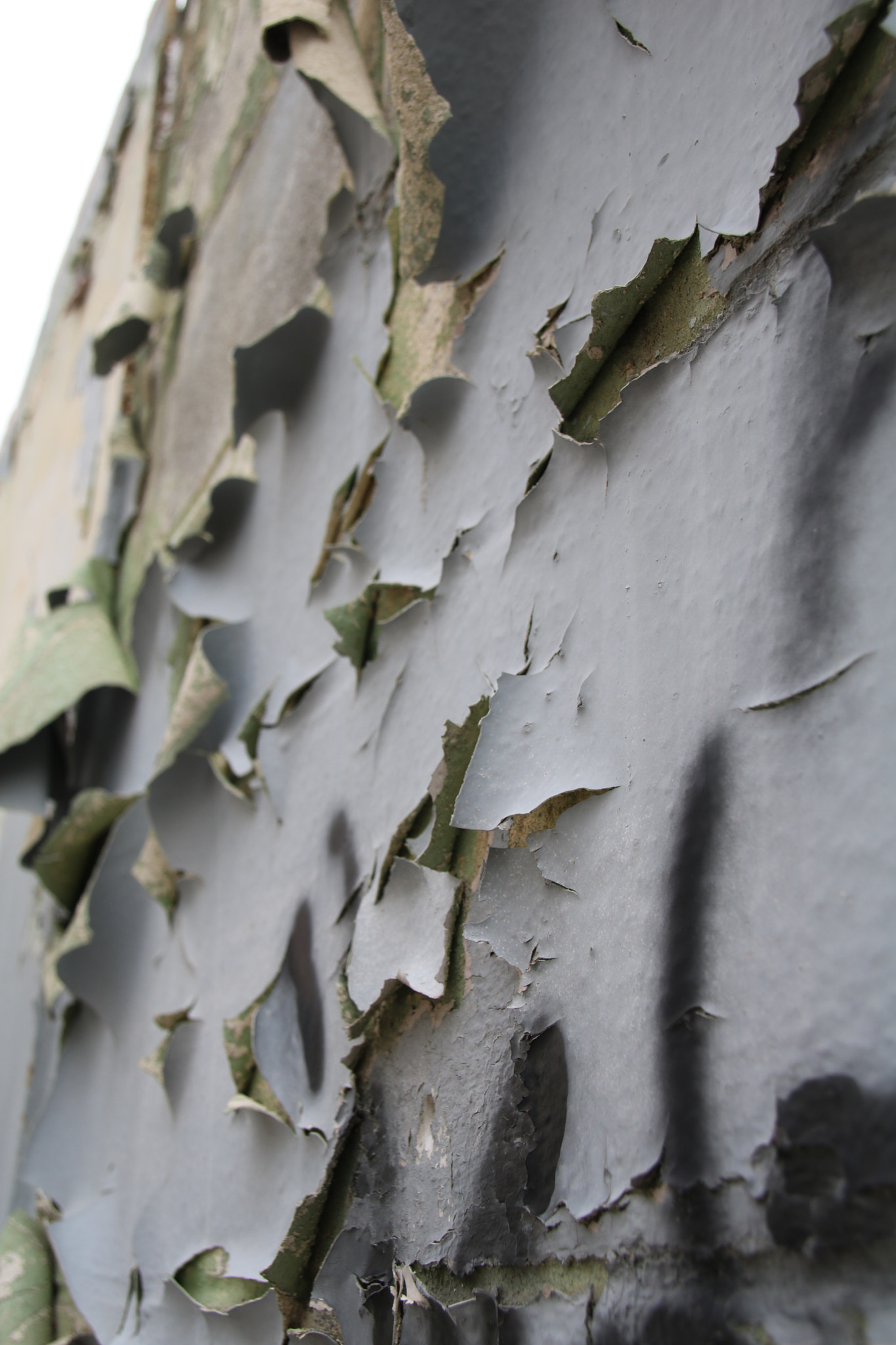 Sigma 18-250mm F3.5-6.3 DC OS HSM sample photo. Peeling wall photography