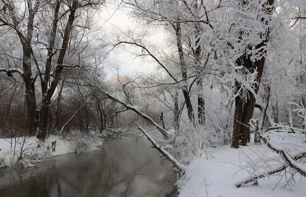 Canon EOS 50D + Canon EF 17-40mm F4L USM sample photo. На реке Лихоборке. photography