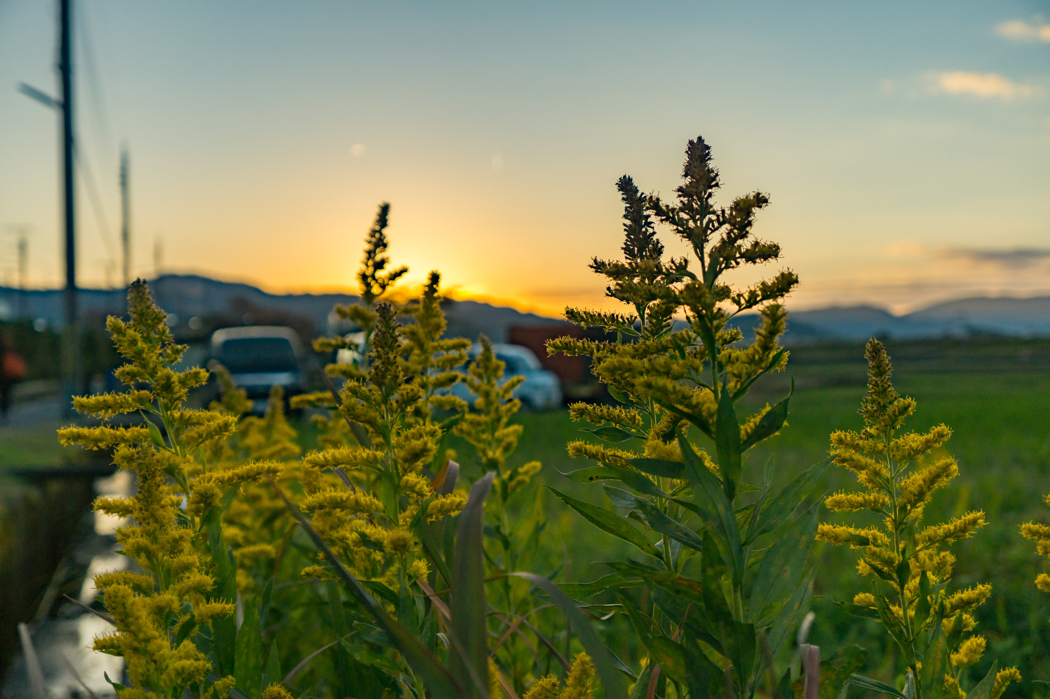 Sony a5100 + Sony E 18-55mm F3.5-5.6 OSS sample photo. Japanese sunset photography