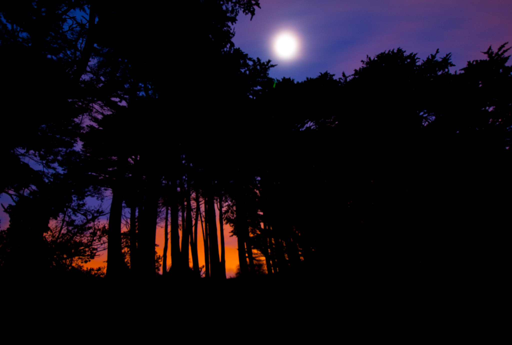 Canon EOS 400D (EOS Digital Rebel XTi / EOS Kiss Digital X) sample photo. Goodnight, moon photography