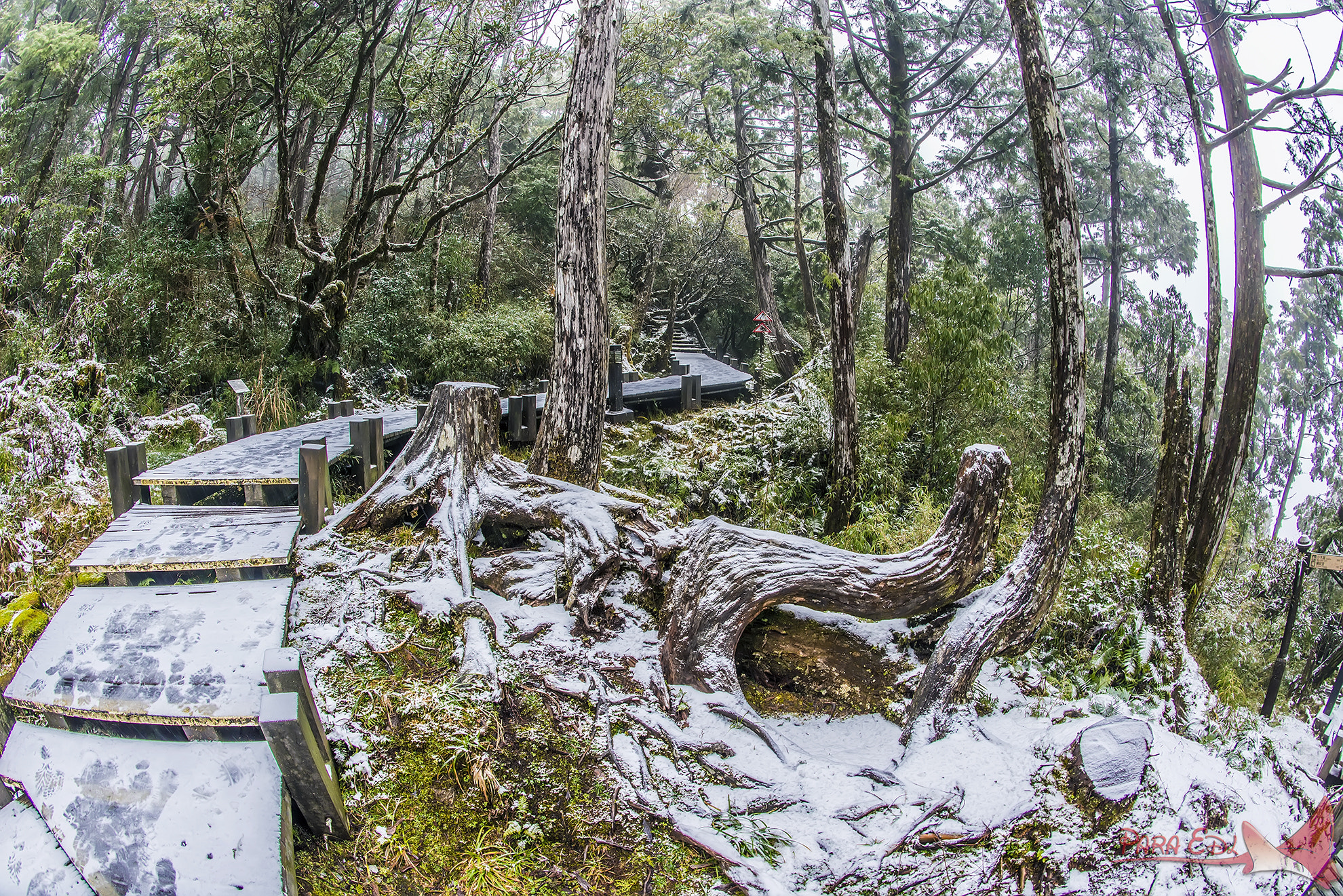 Nikon D800E + Nikon AF Fisheye-Nikkor 16mm F2.8D sample photo. Tai-ping-shan photography