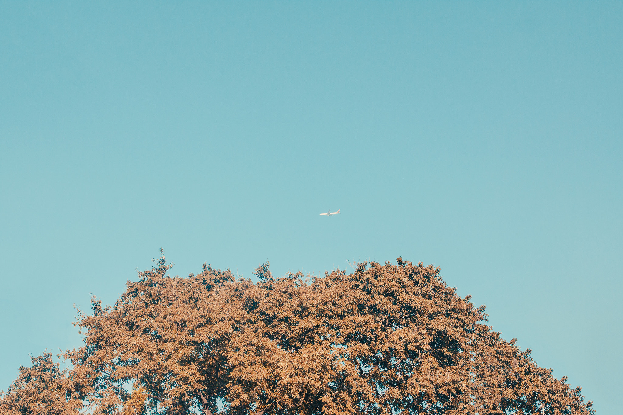 Canon EOS 50D + Sigma 35mm F1.4 DG HSM Art sample photo. 拷貝 photography