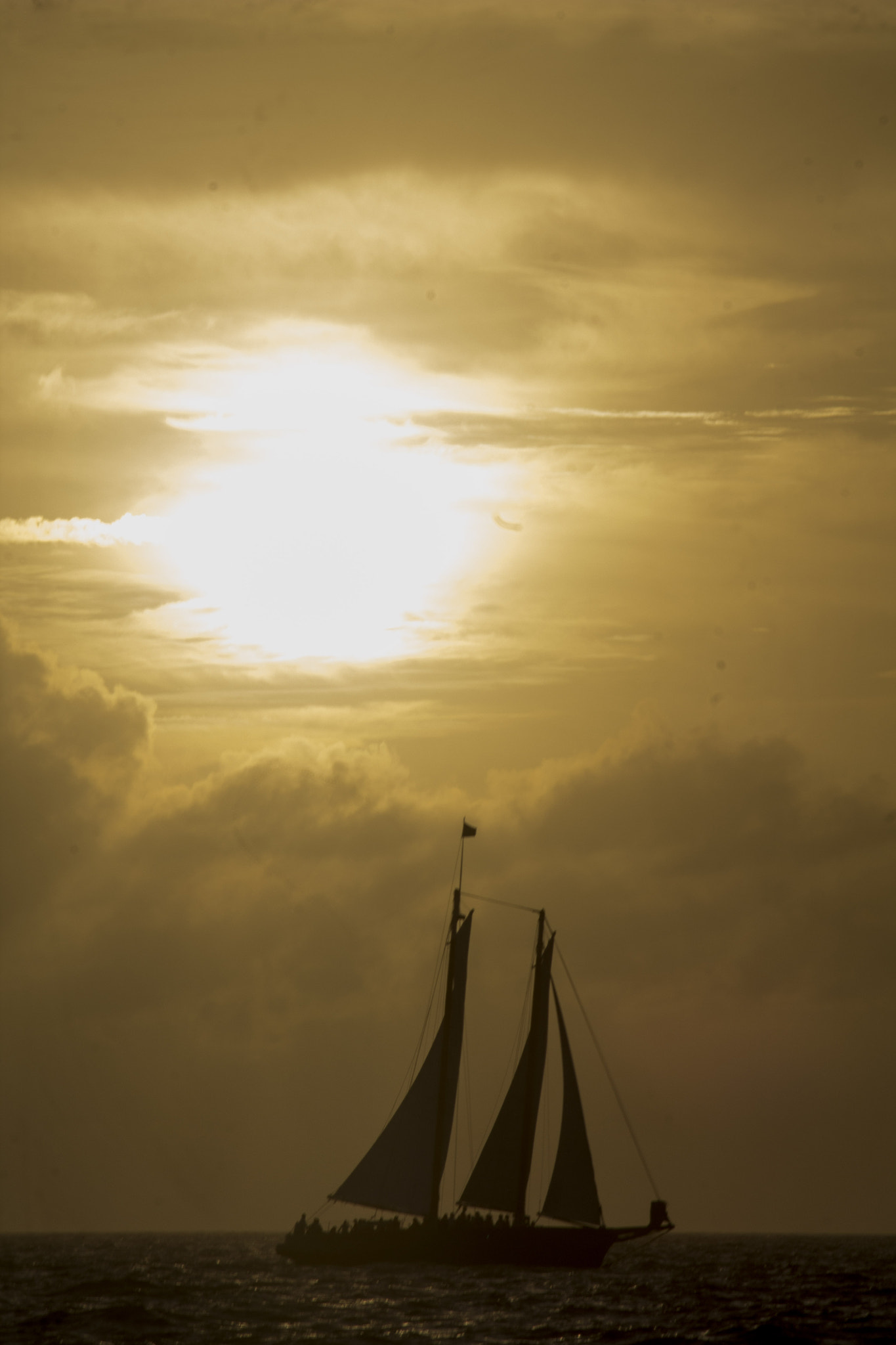 Canon EF 80-200mm F4.5-5.6 II sample photo. 1 photography