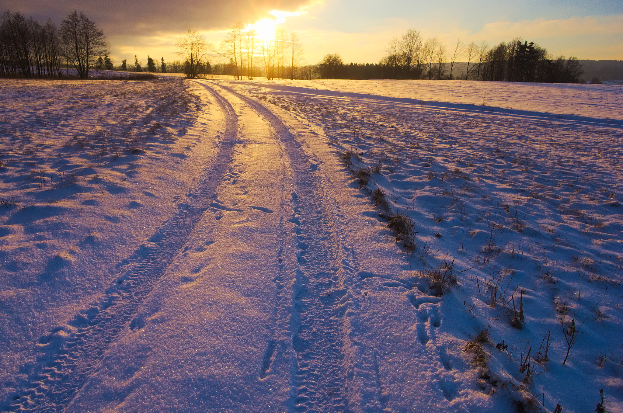 Pentax K-5 + Pentax smc DA 15mm F4 ED AL Limited sample photo. Purple evening near szklarnia photography