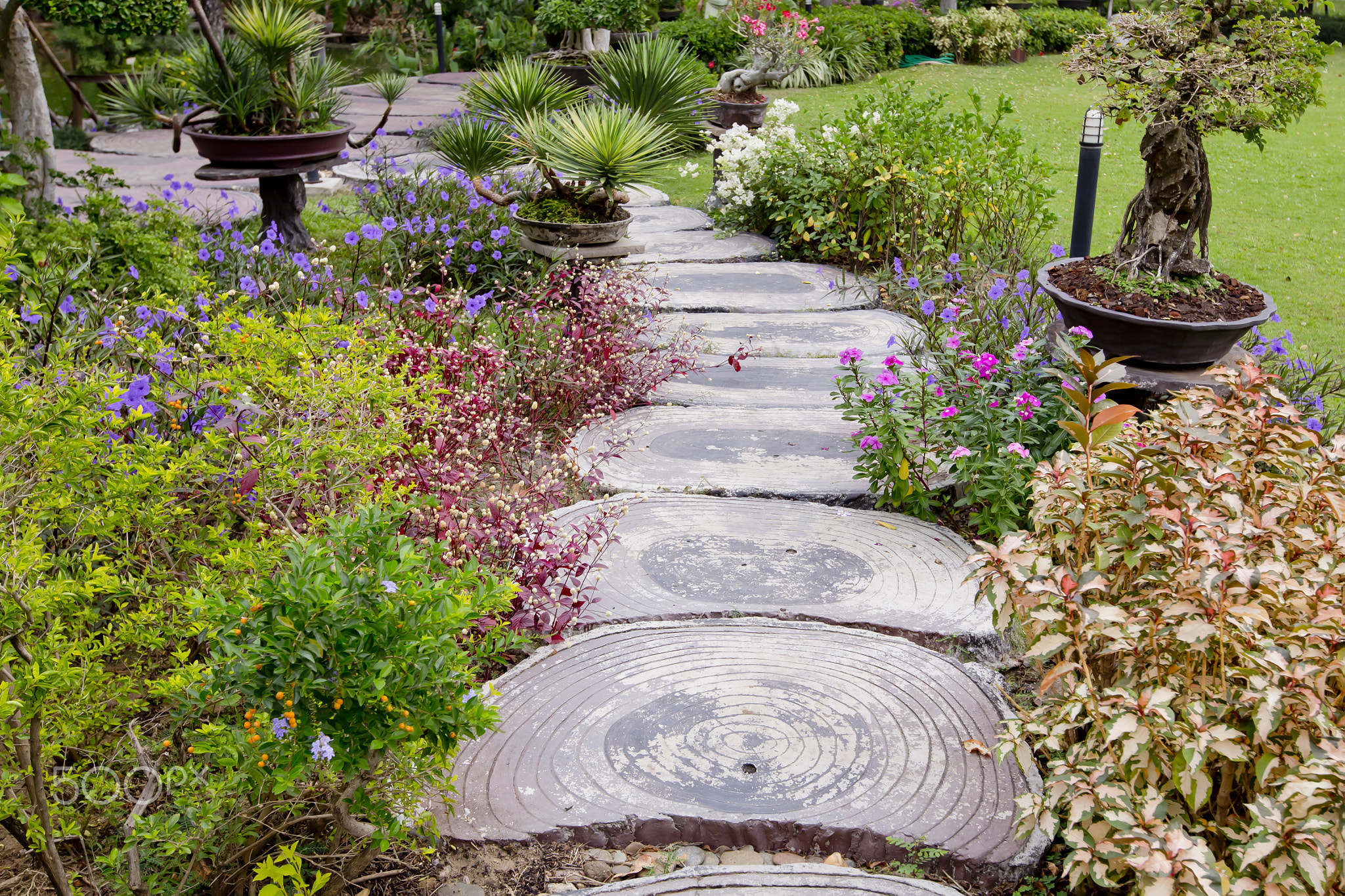 Wooden stump path with beautiful flowers in park.