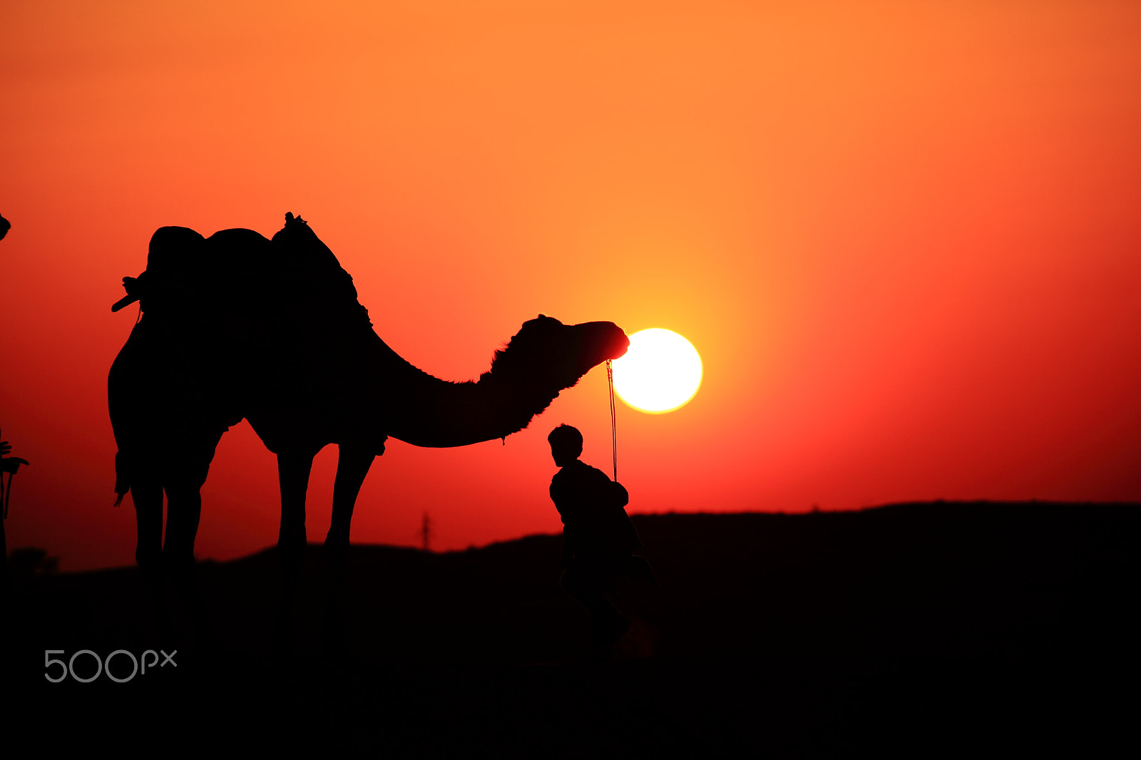 Canon EF 70-300mm F4-5.6L IS USM sample photo. Silhouette of a man and camel at sunset in the desert, jaisalmer photography