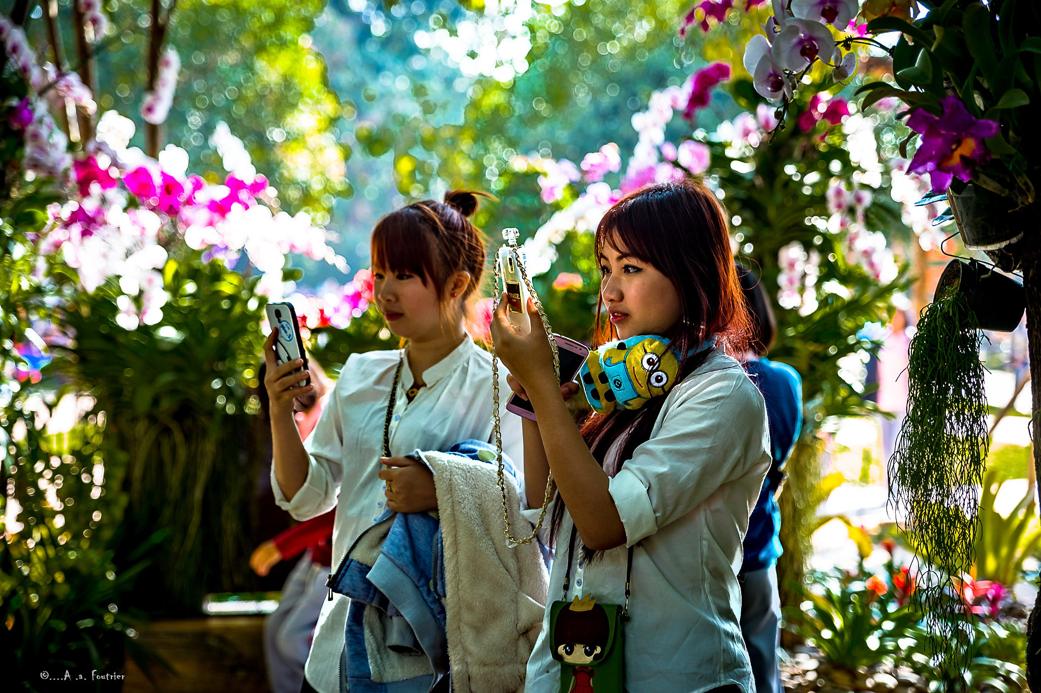 Nikon Df sample photo. Sparking eyes photography