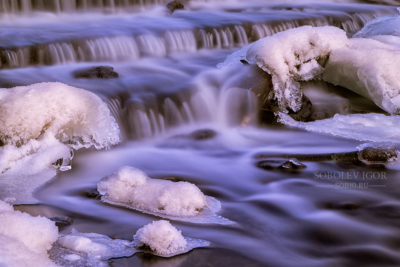 Sony a7R + Canon EF 24-105mm F4L IS USM sample photo. Little snowflake cold winter photography