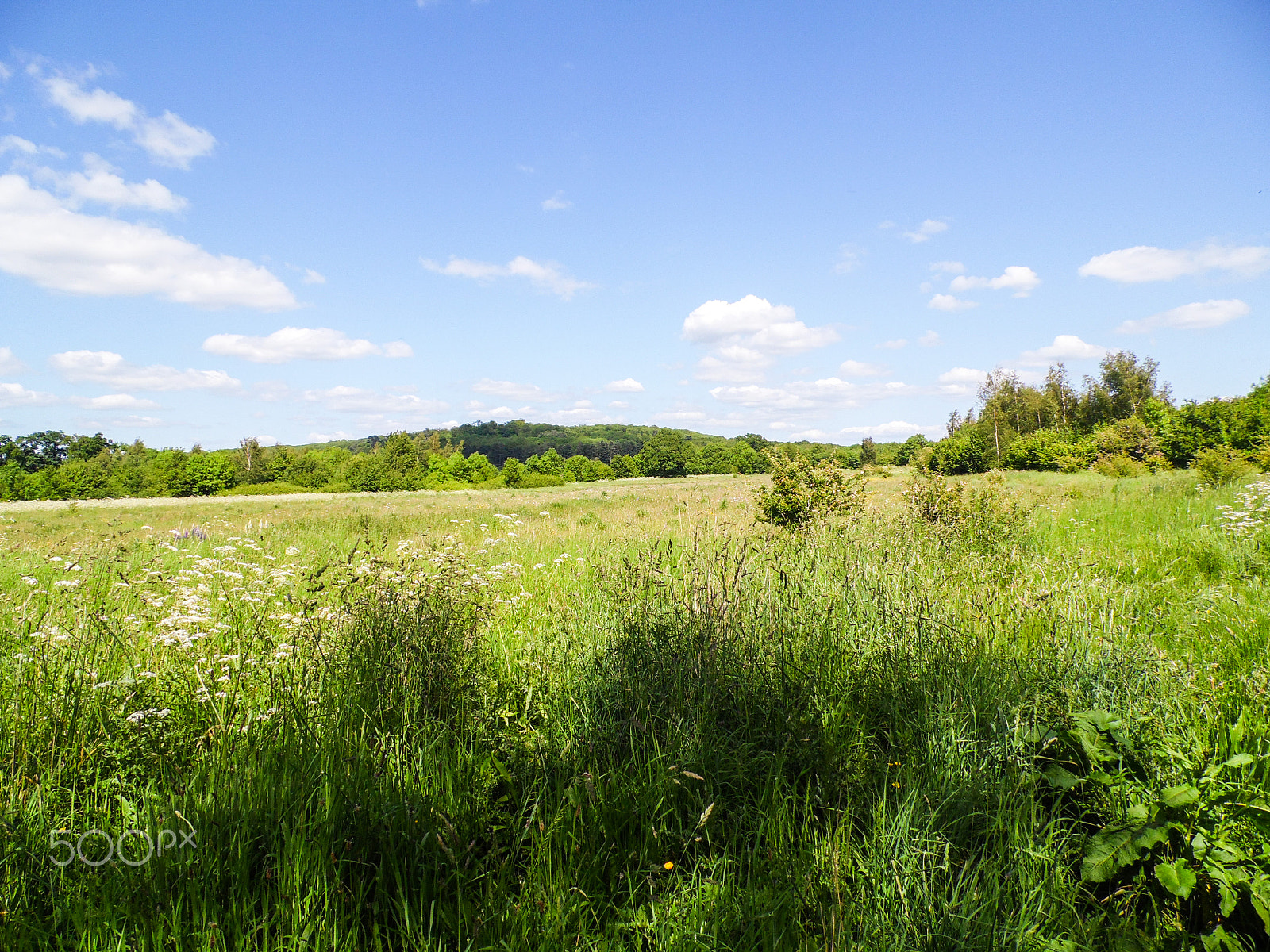 Samsung WB100/ WB101 sample photo. In the field photography