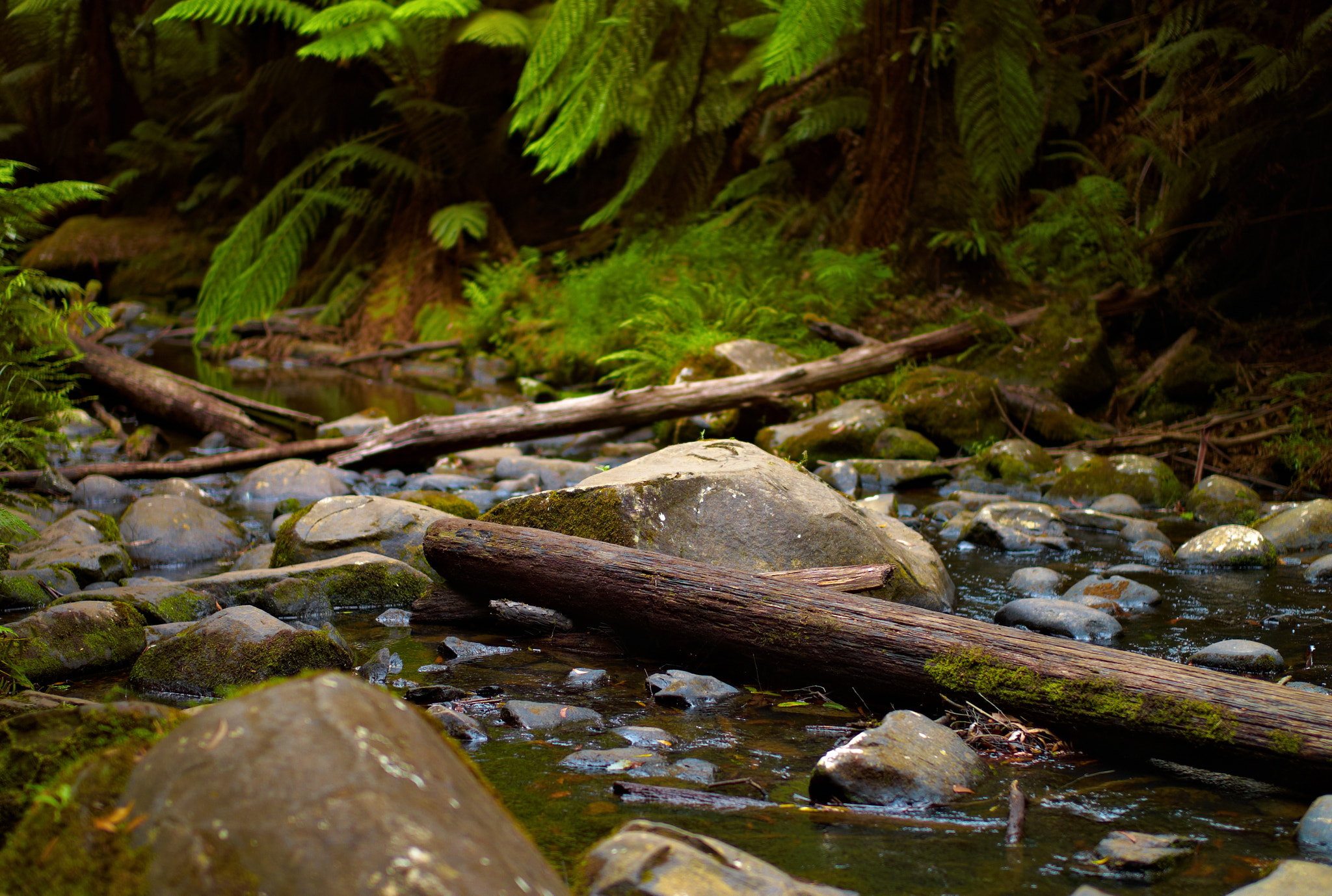 Leica M8 sample photo. * photography
