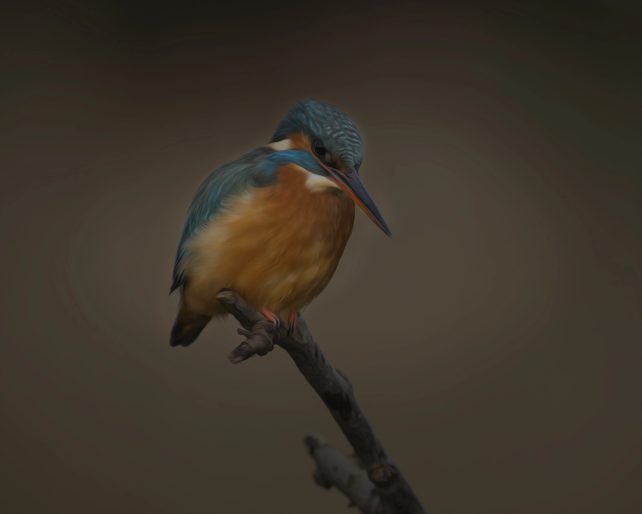 Nikon AF-S Nikkor 300mm F2.8G ED VR II sample photo. Bird art photography