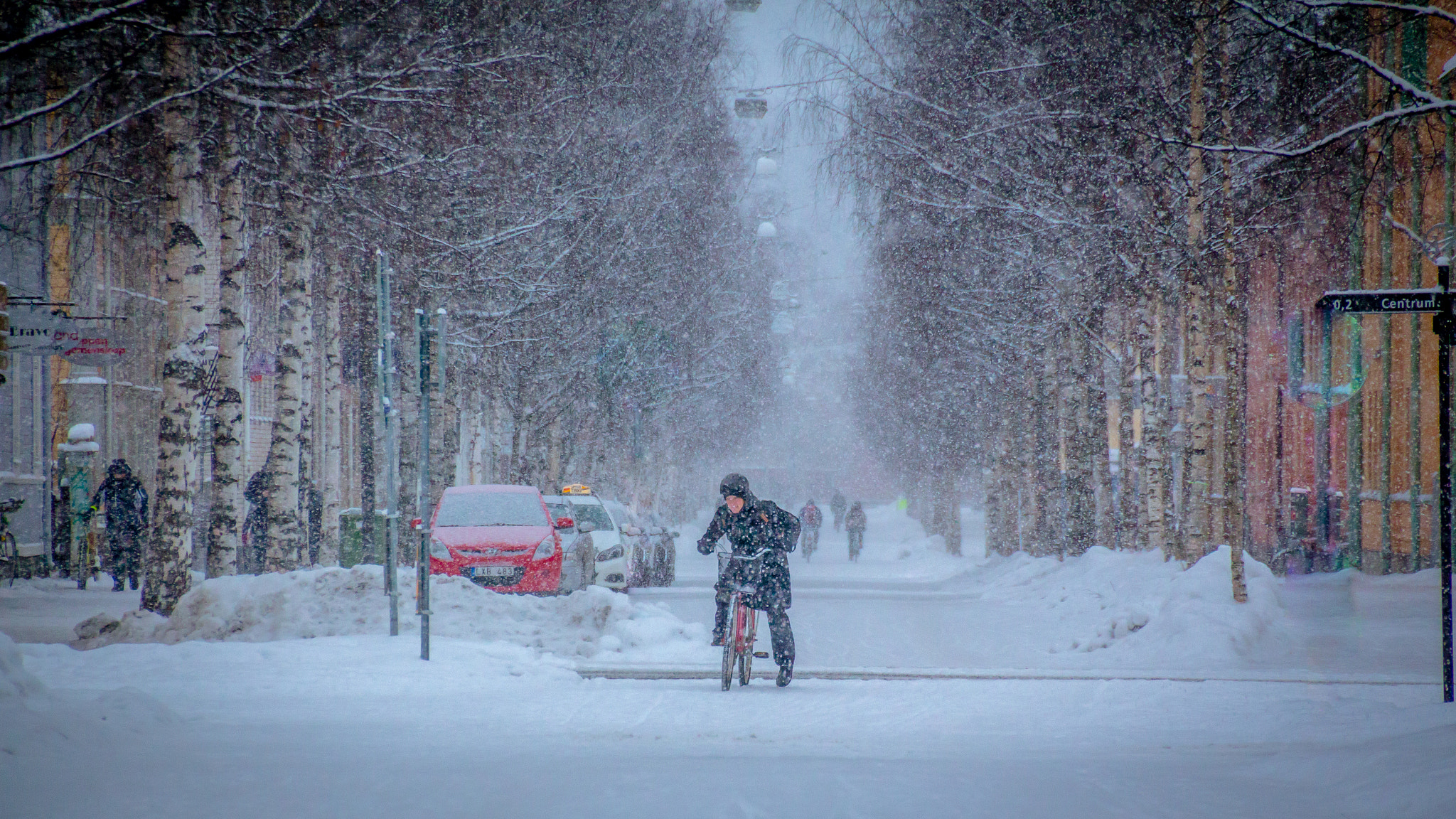 Canon EOS 650D (EOS Rebel T4i / EOS Kiss X6i) sample photo. Snow falling photography