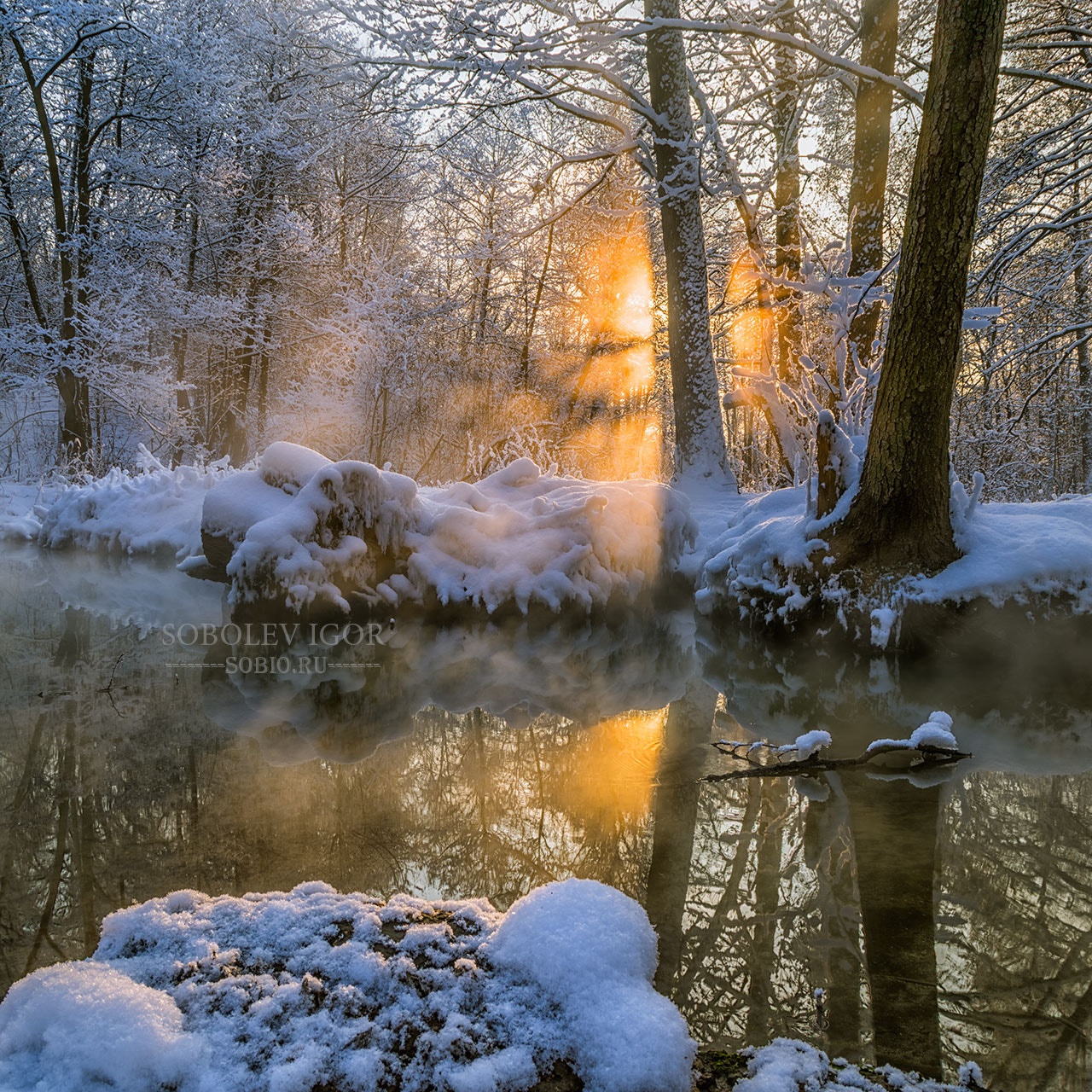 Sony a7R + Canon EF 24-105mm F4L IS USM sample photo. Rays of the winter sun photography