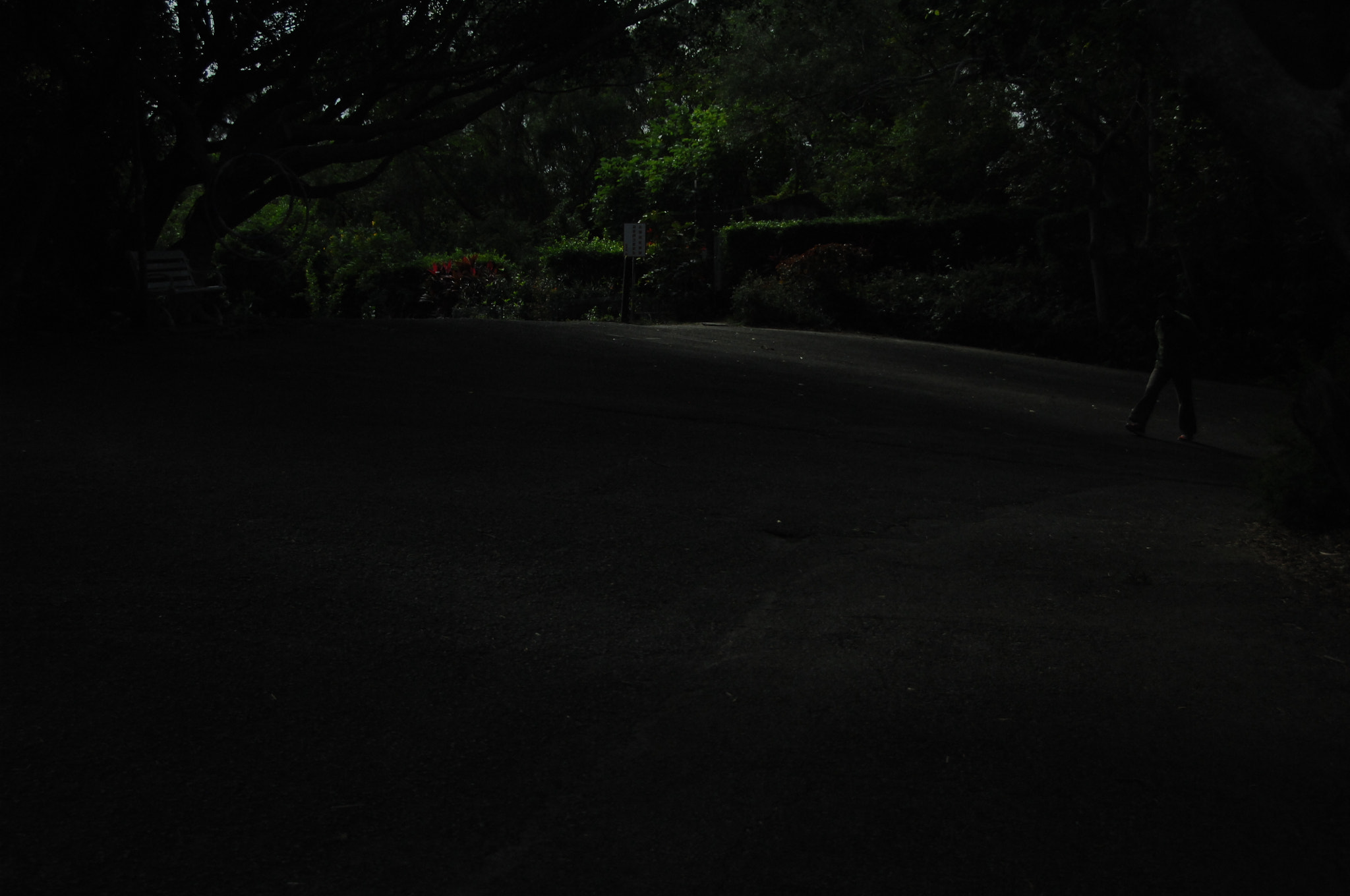 Nikon D2X sample photo. .. photography