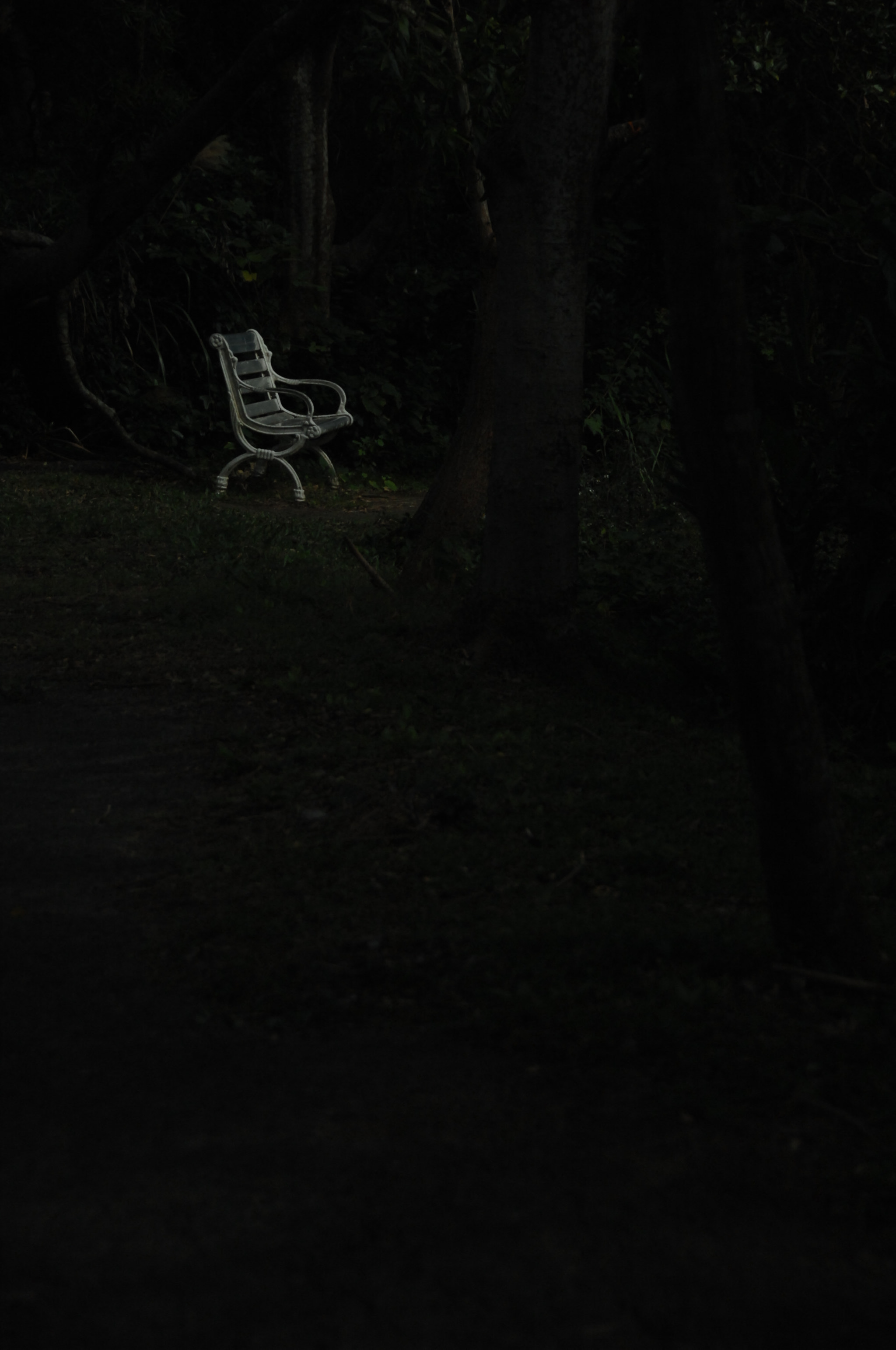 Nikon D2X sample photo. .. photography
