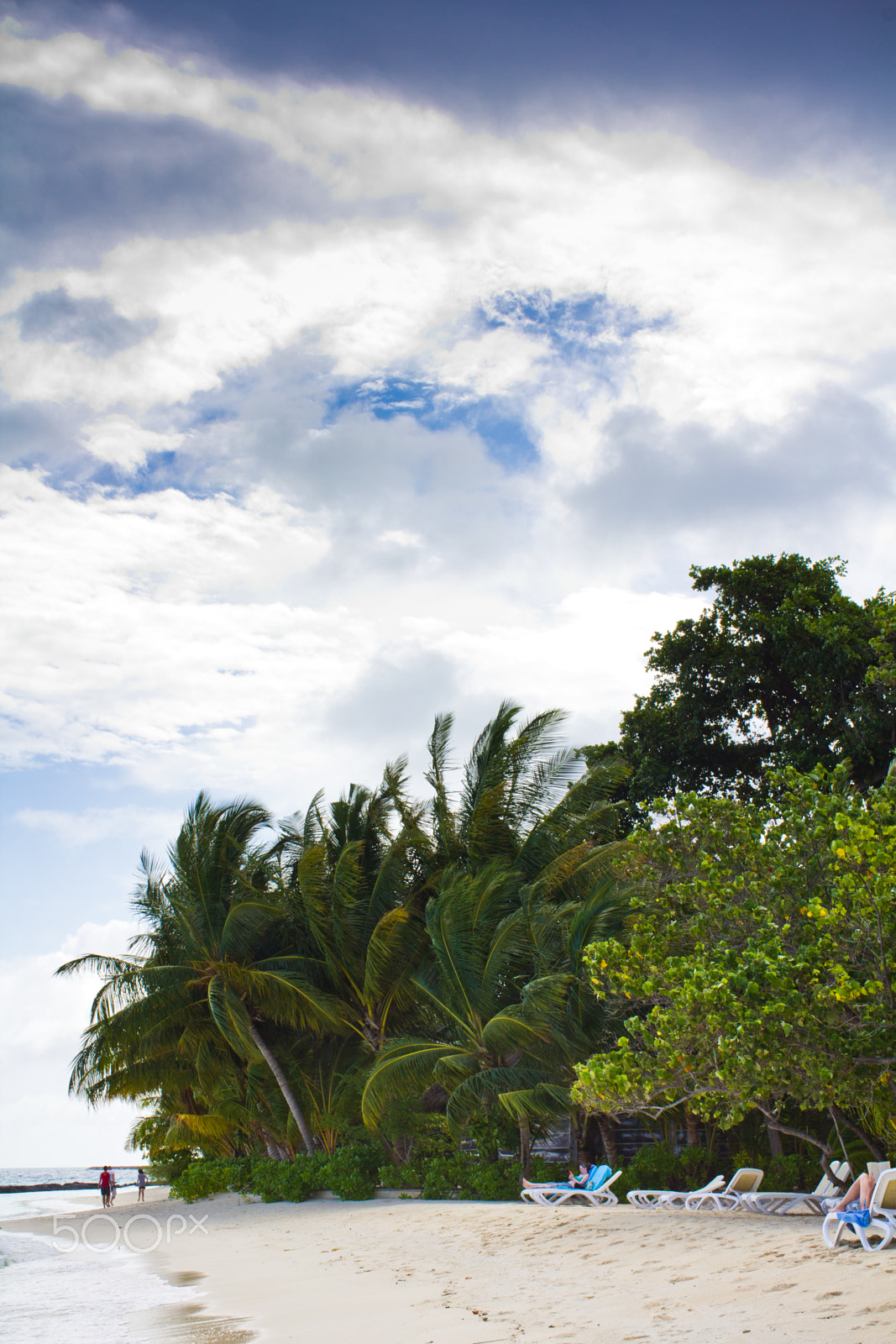 Canon EOS 60D + Canon EF 35mm F1.4L USM sample photo. Maldives island kuramathi photography