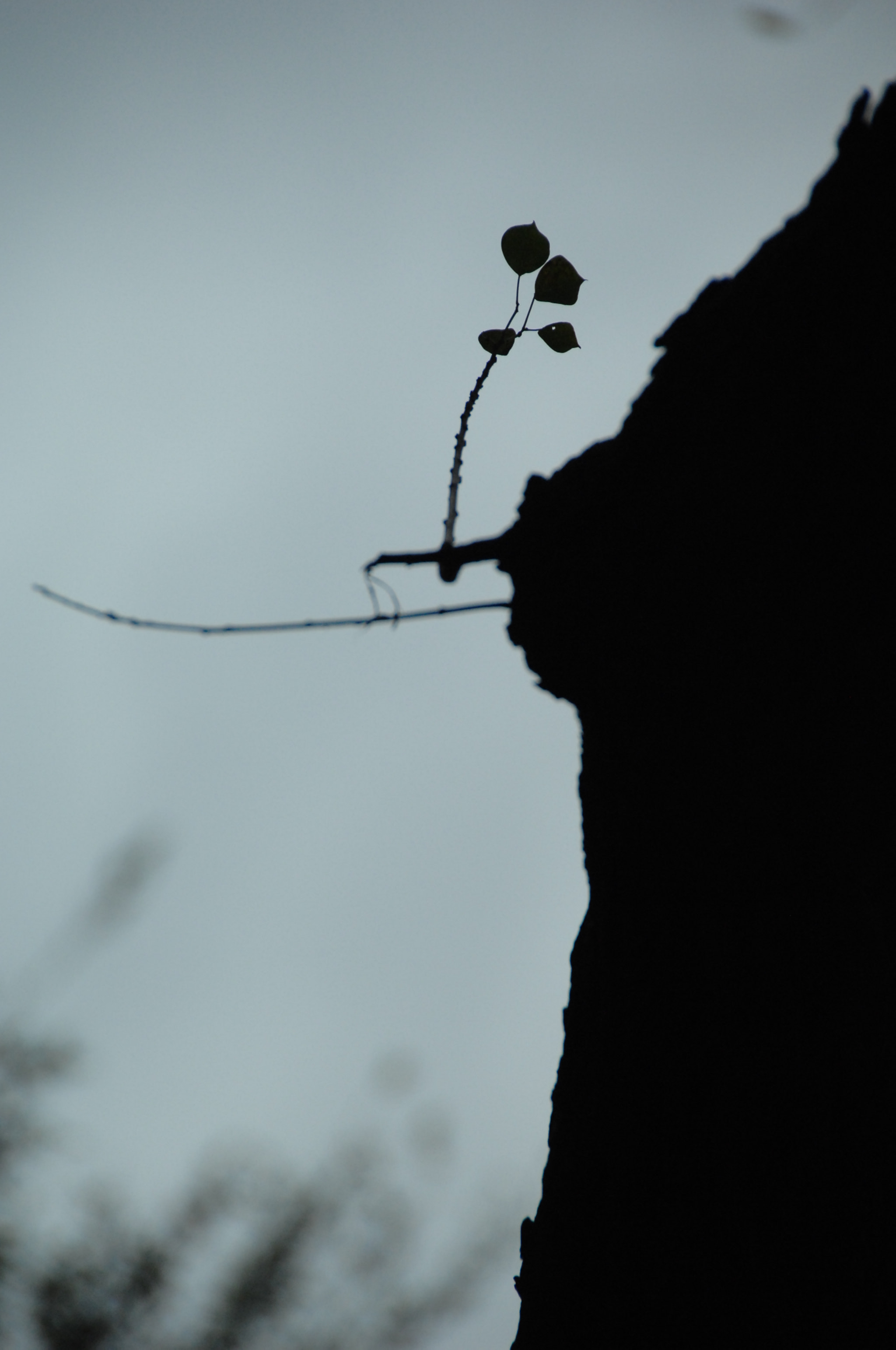 Nikon D2X sample photo. .. photography