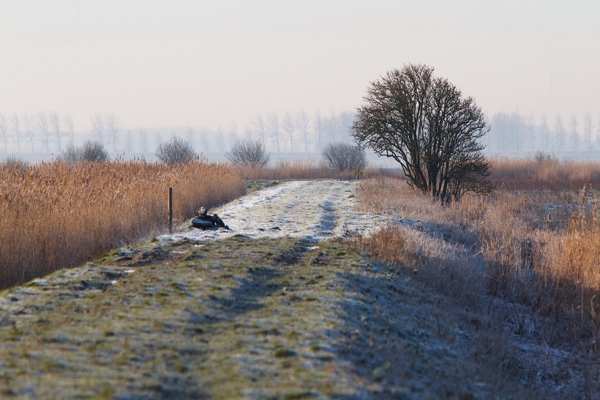 Canon EF 70-200mm F2.8L IS USM sample photo. Winter is coming photography