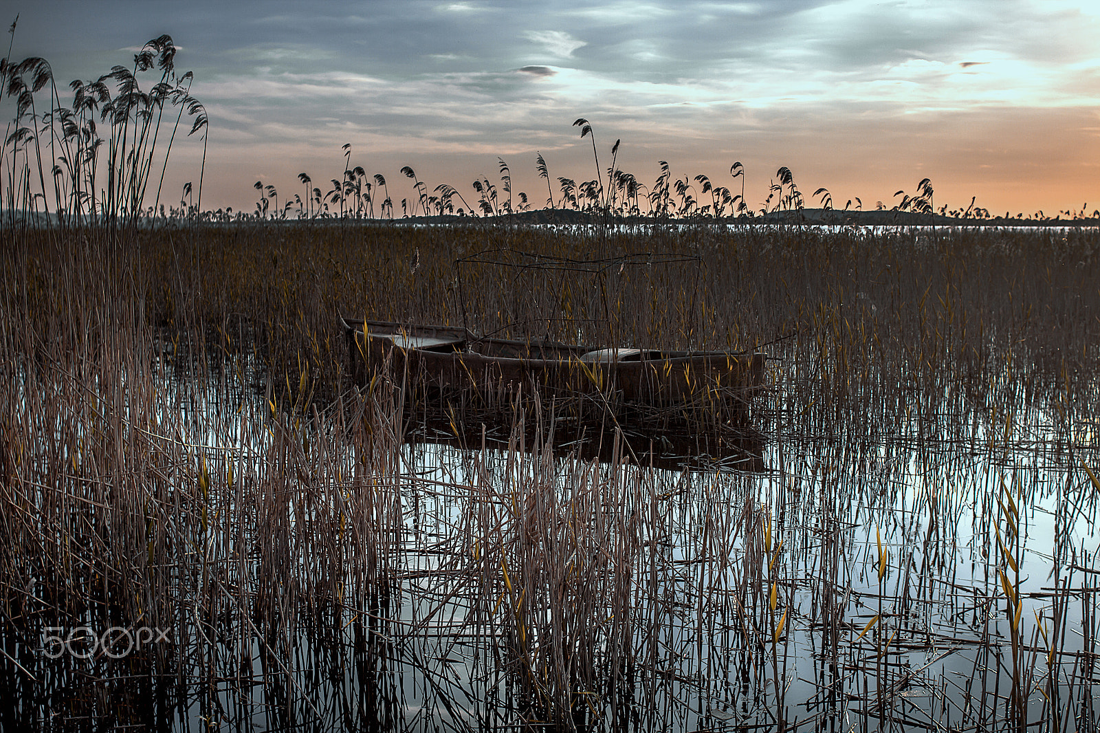 Canon EF 28mm F2.8 sample photo. Reeds photography