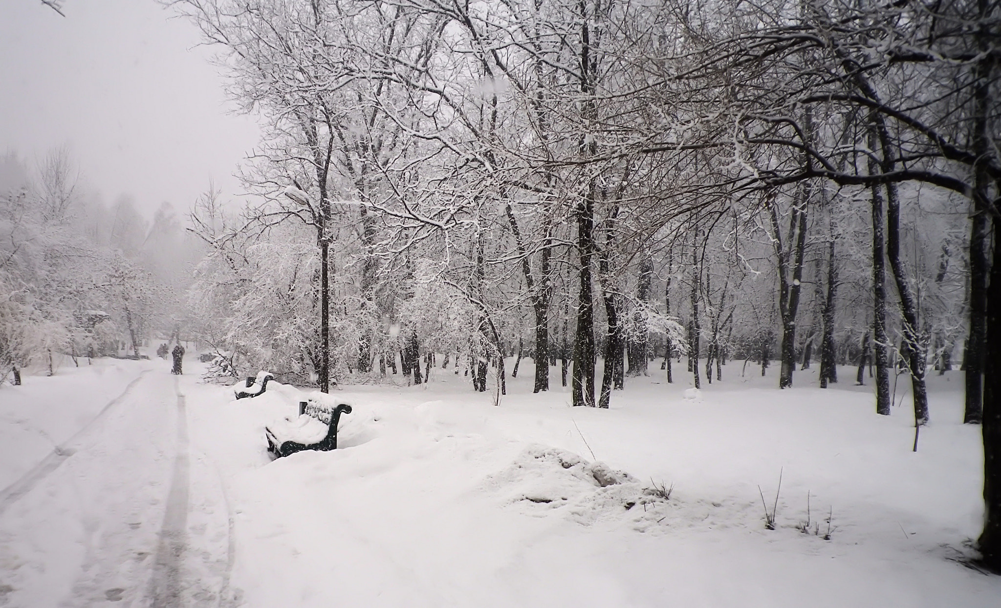 Pentax Optio I-10 sample photo. Winter in the park photography