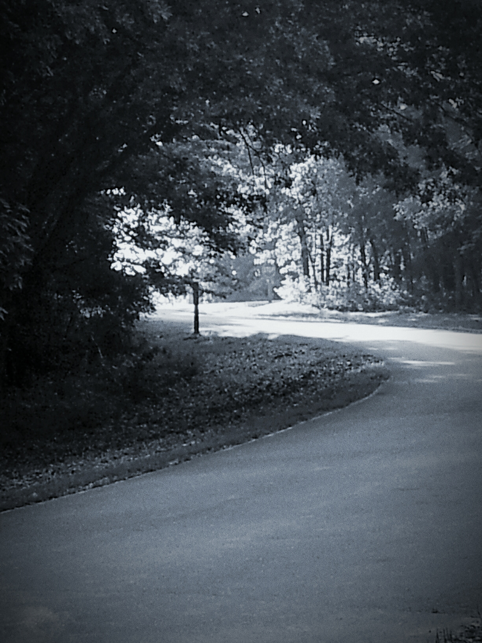 Samsung Galaxy S2 Epic sample photo