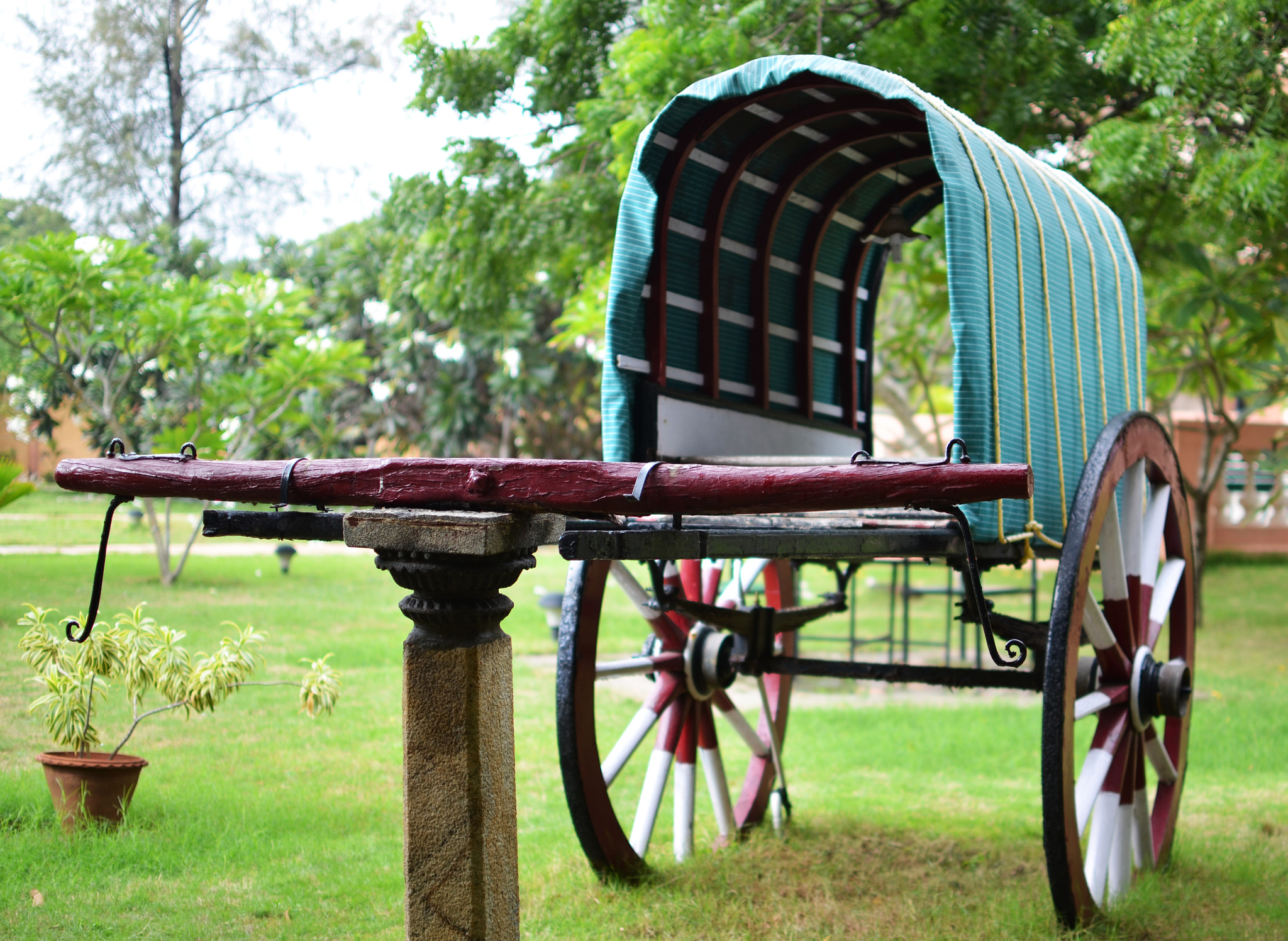 Nikon D5100 + Sigma 18-200mm F3.5-6.3 DC sample photo. Bullock cart photography