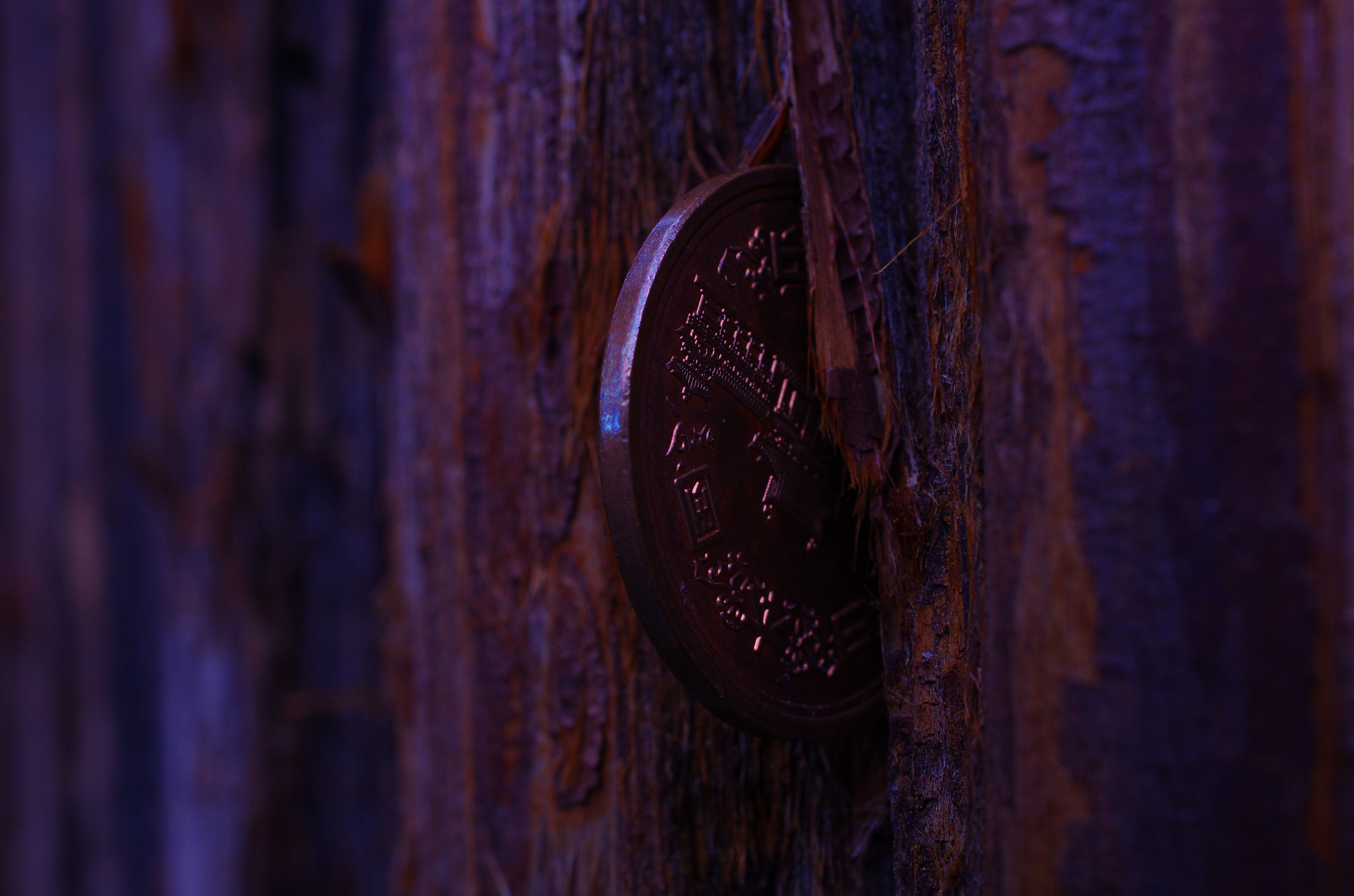 Pentax smc DA 35mm F2.8 Macro Limited sample photo. Ten yen photography